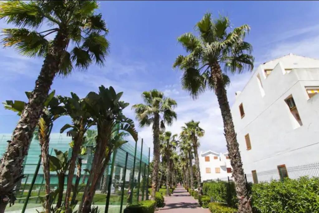 Lovely apartment next to the beach La Pineda view 4