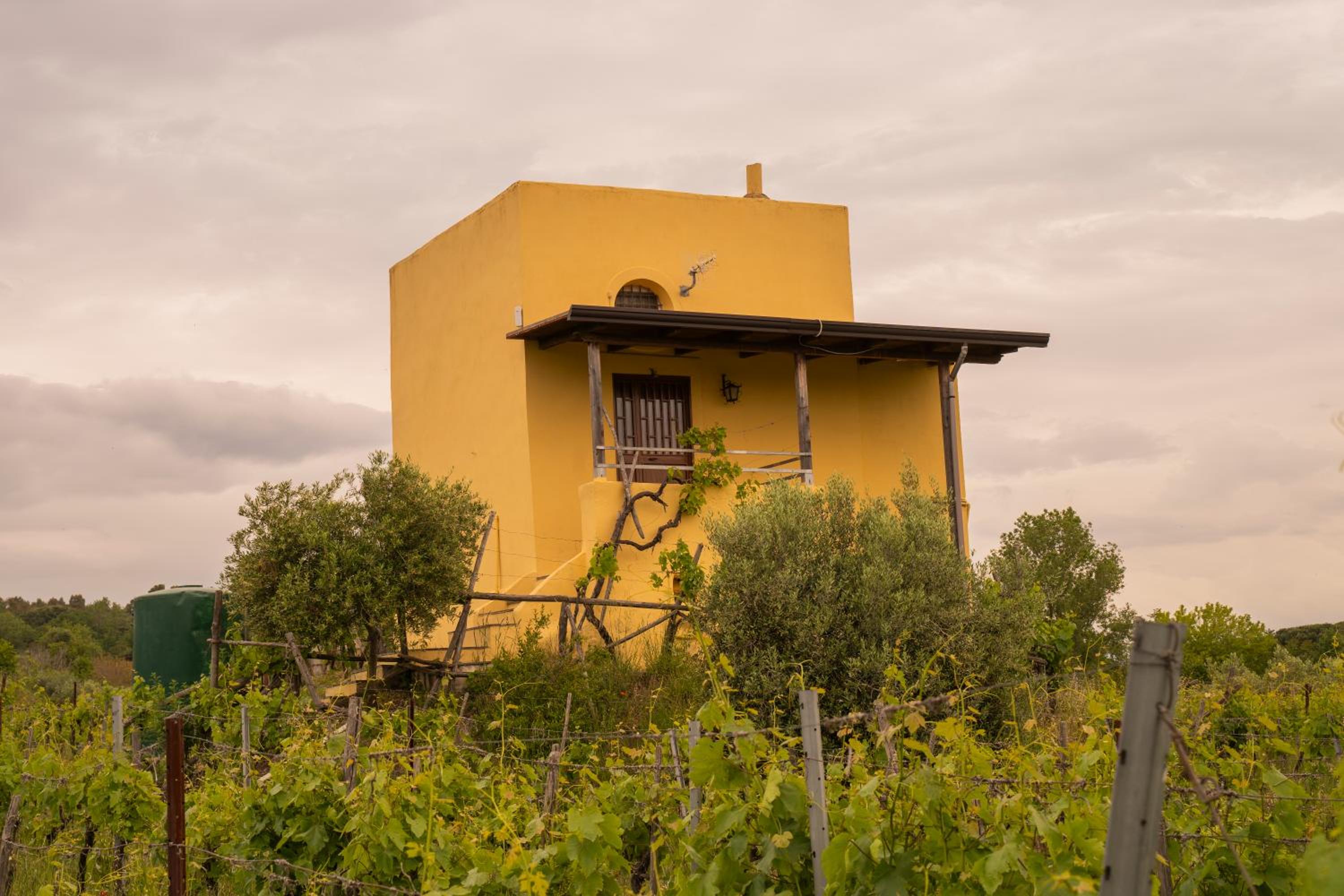 Vesuvio Inn Guest House e Wine Experience, photo 20