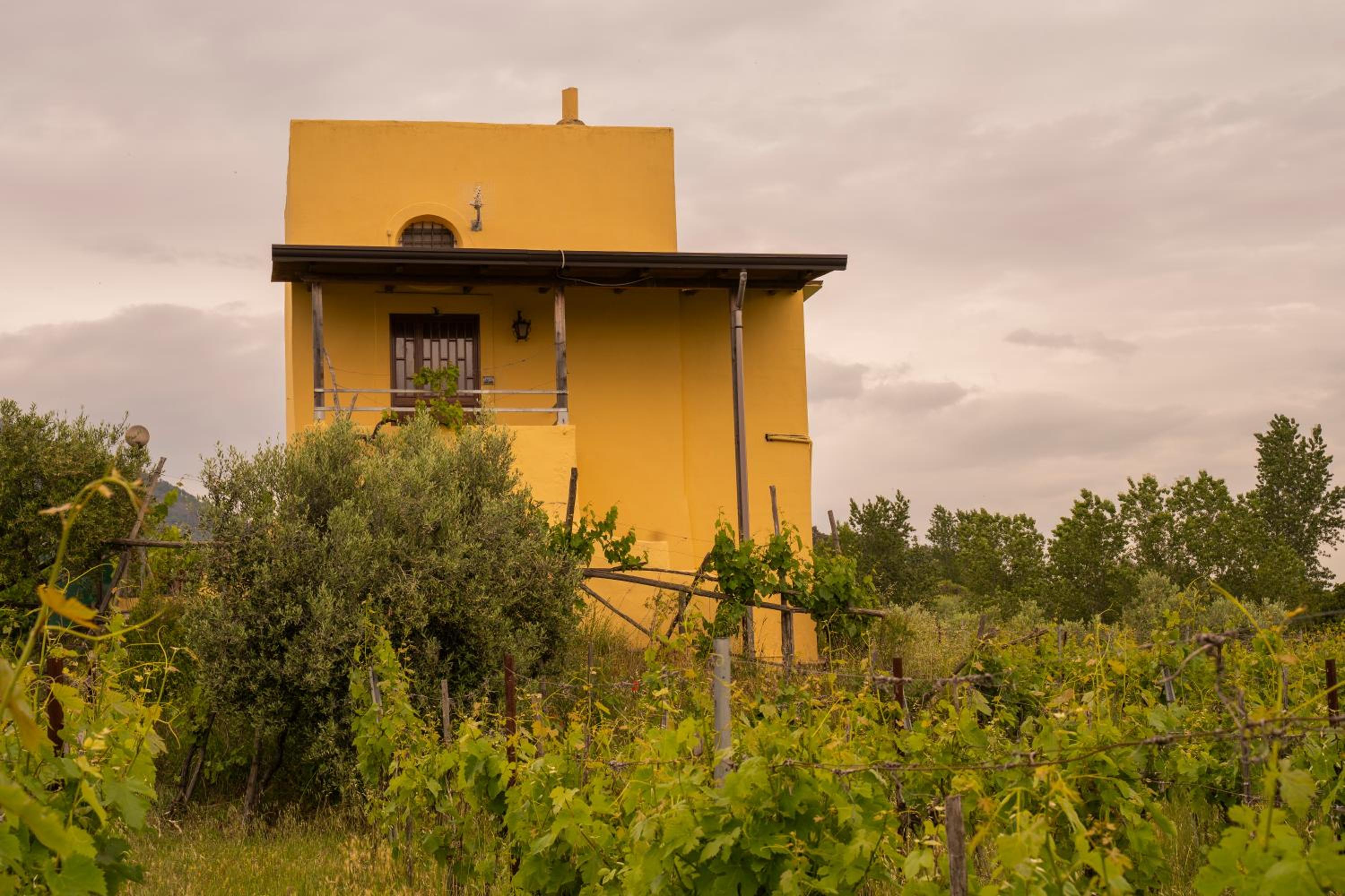 Vesuvio Inn Guest House e Wine Experience, photo 28