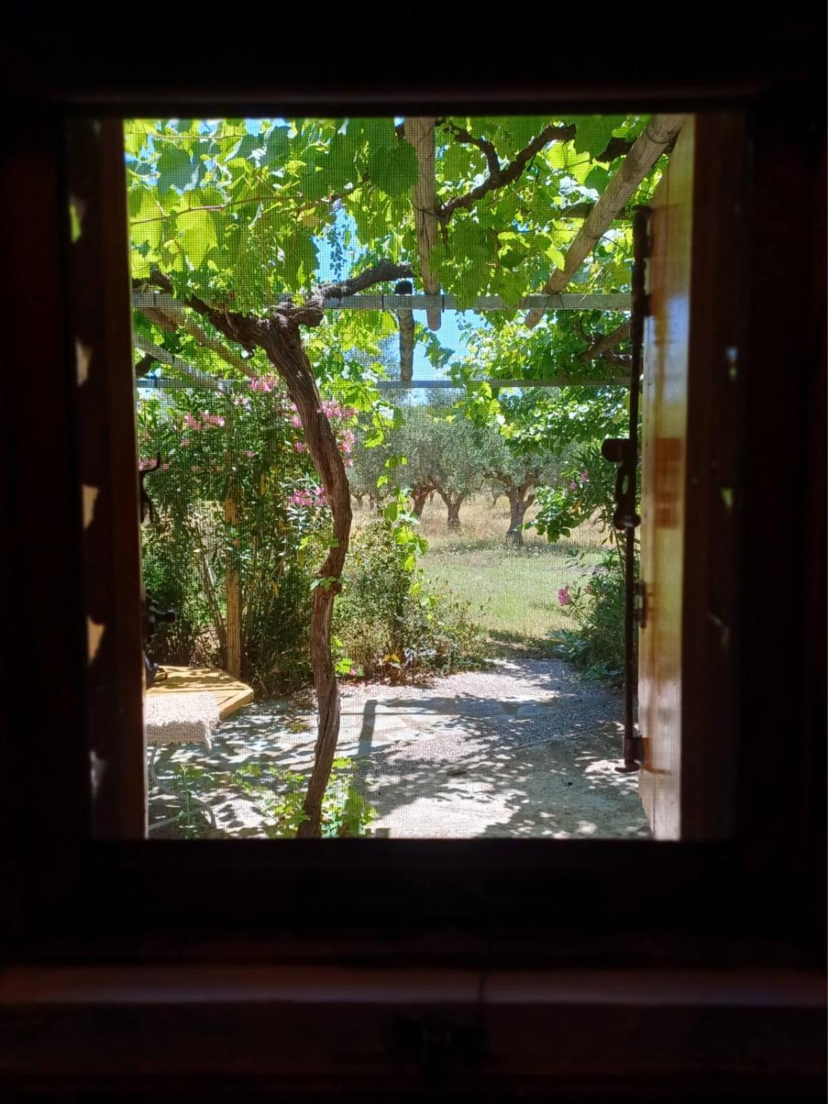 Photo 21