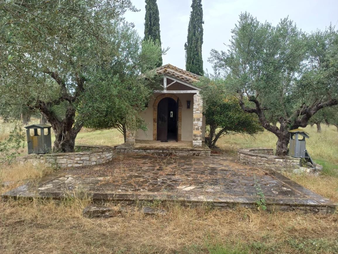 Photo 28