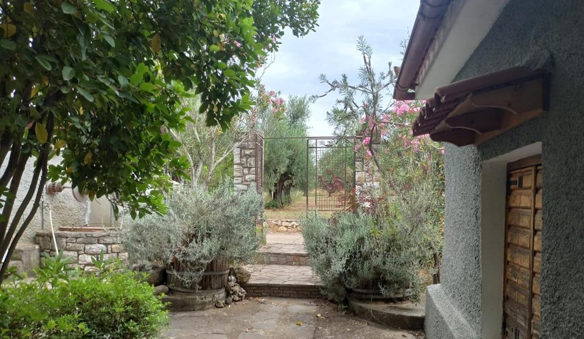 Photo 31