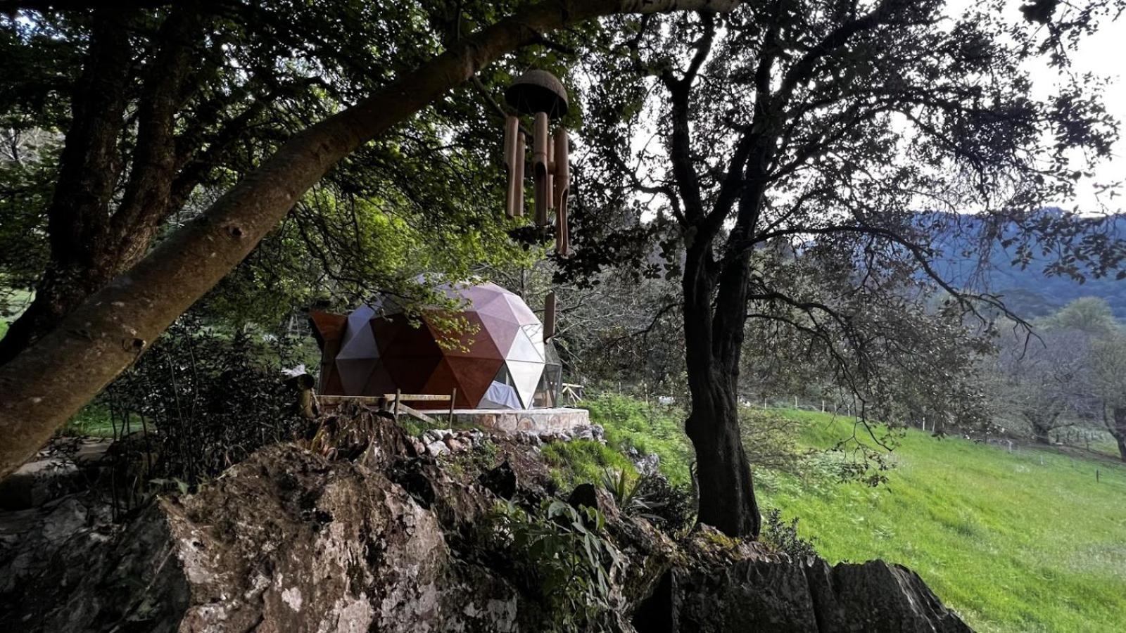 Los Acebos de Peña Cabarga, Cúpula experiencias