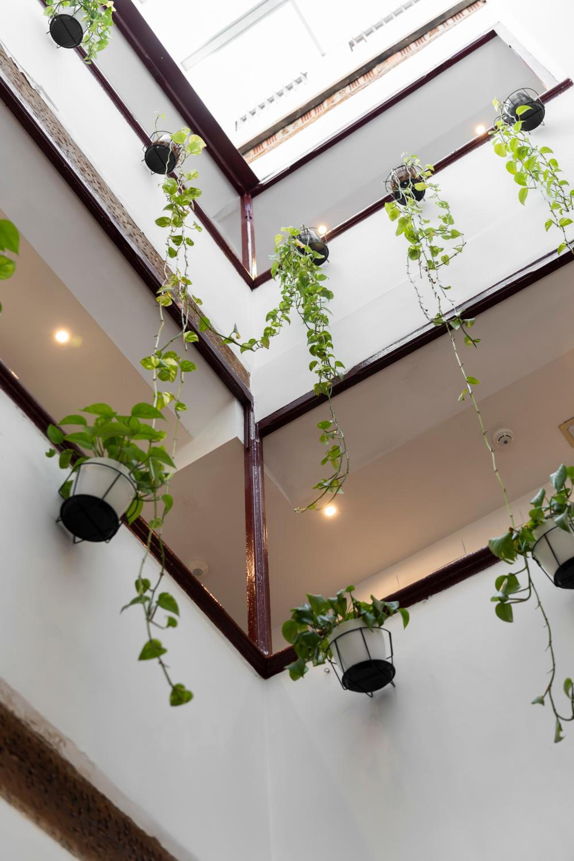 Home Youth Hostel by Feetup Hostels