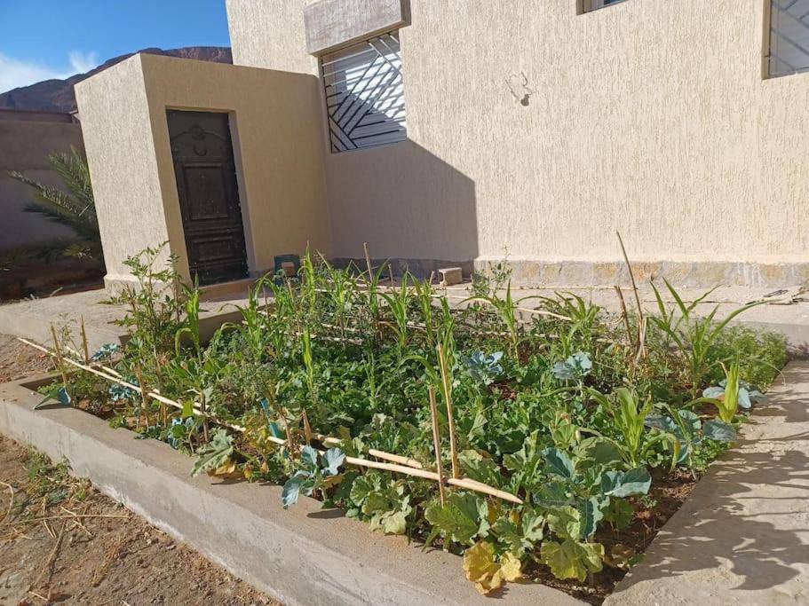 Maison familiale avec piscine privée sans vis à vis