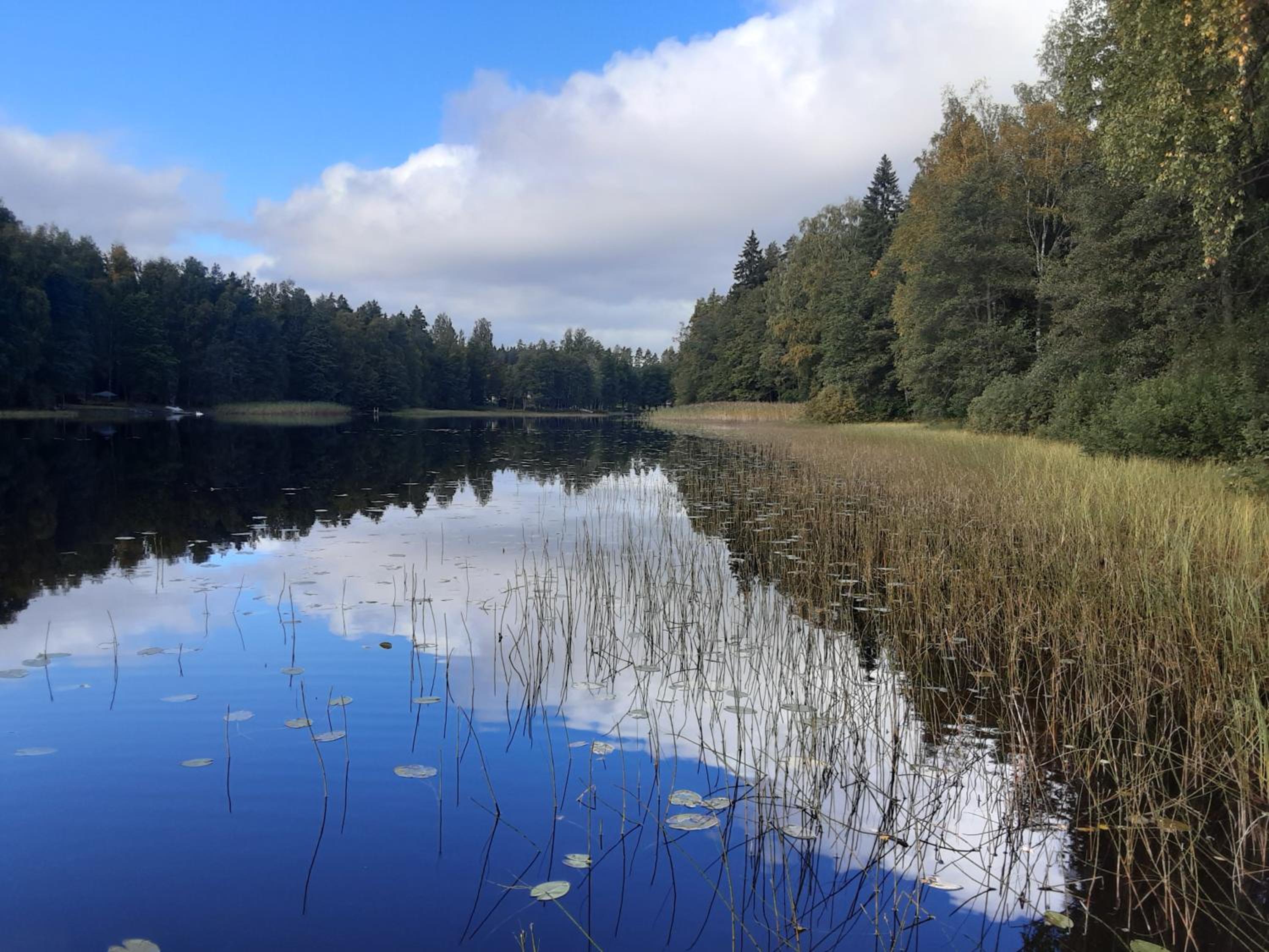 Koivu ja Kuusi Eräkeskus