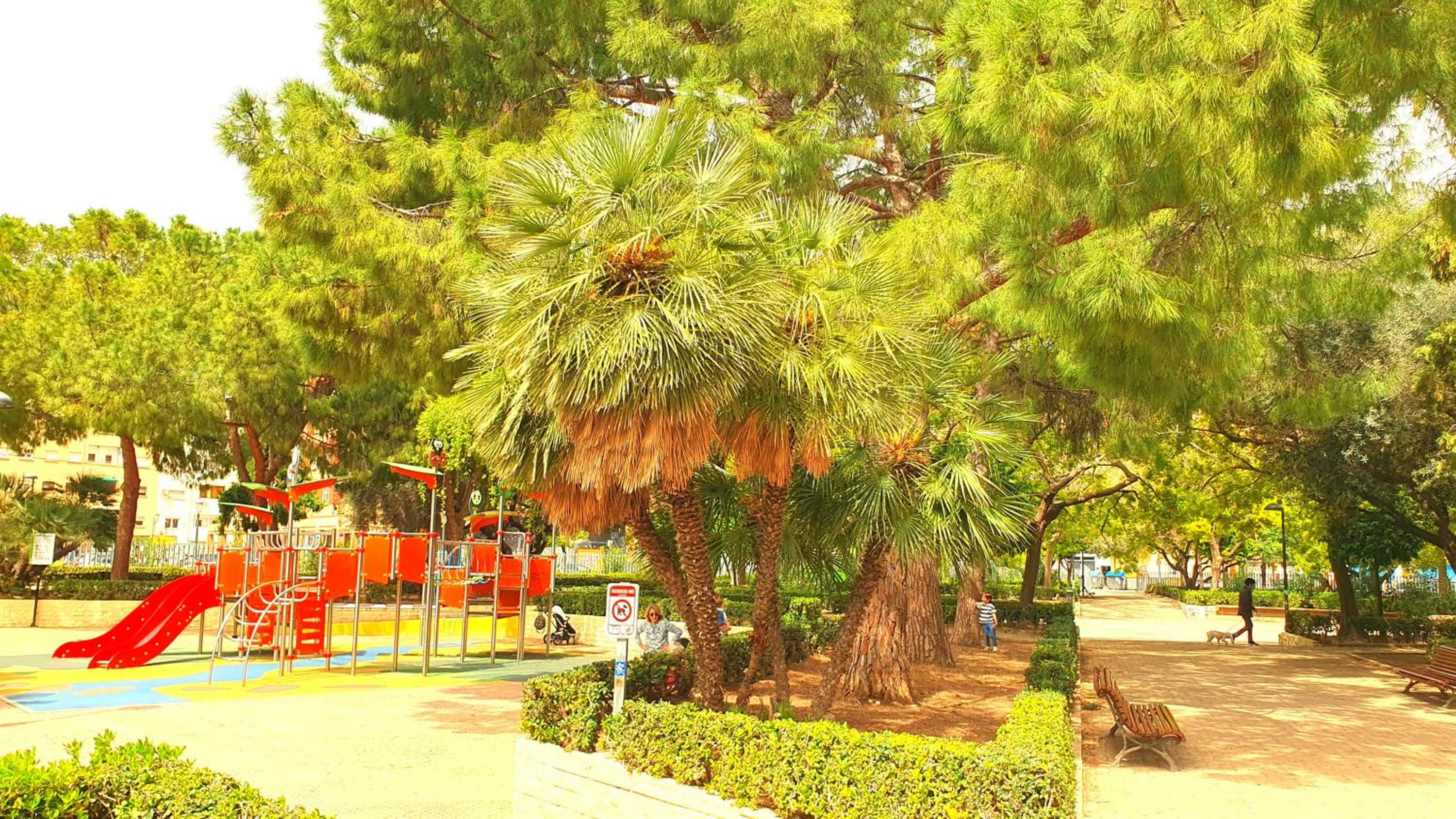NUEVO Apartamentos Costa del Alma