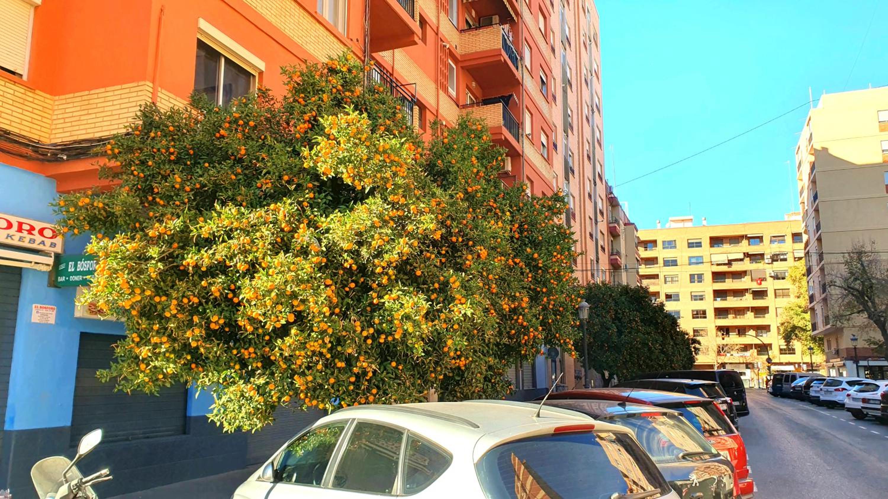 NUEVO Apartamentos Costa del Alma