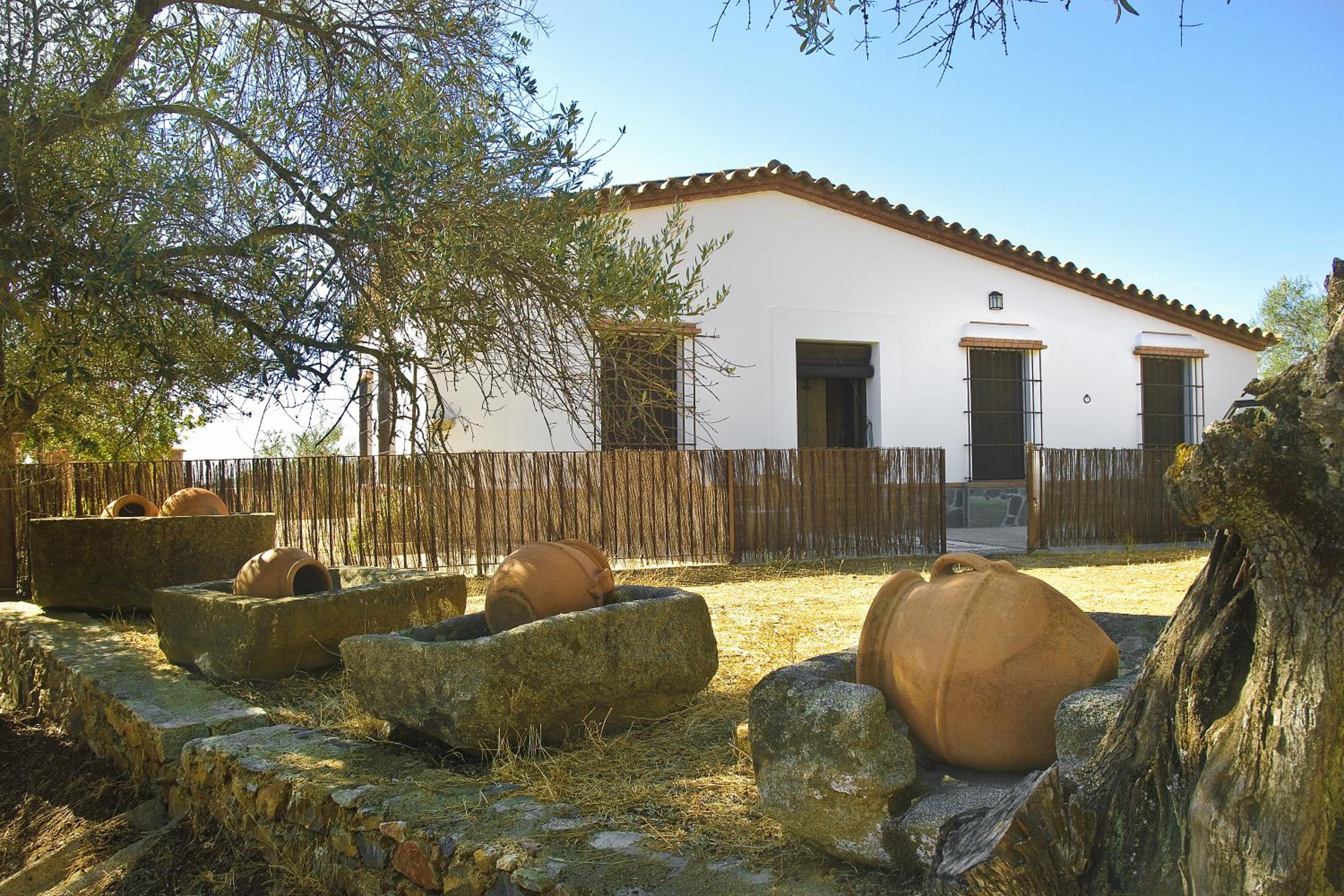 Montecruz Rural