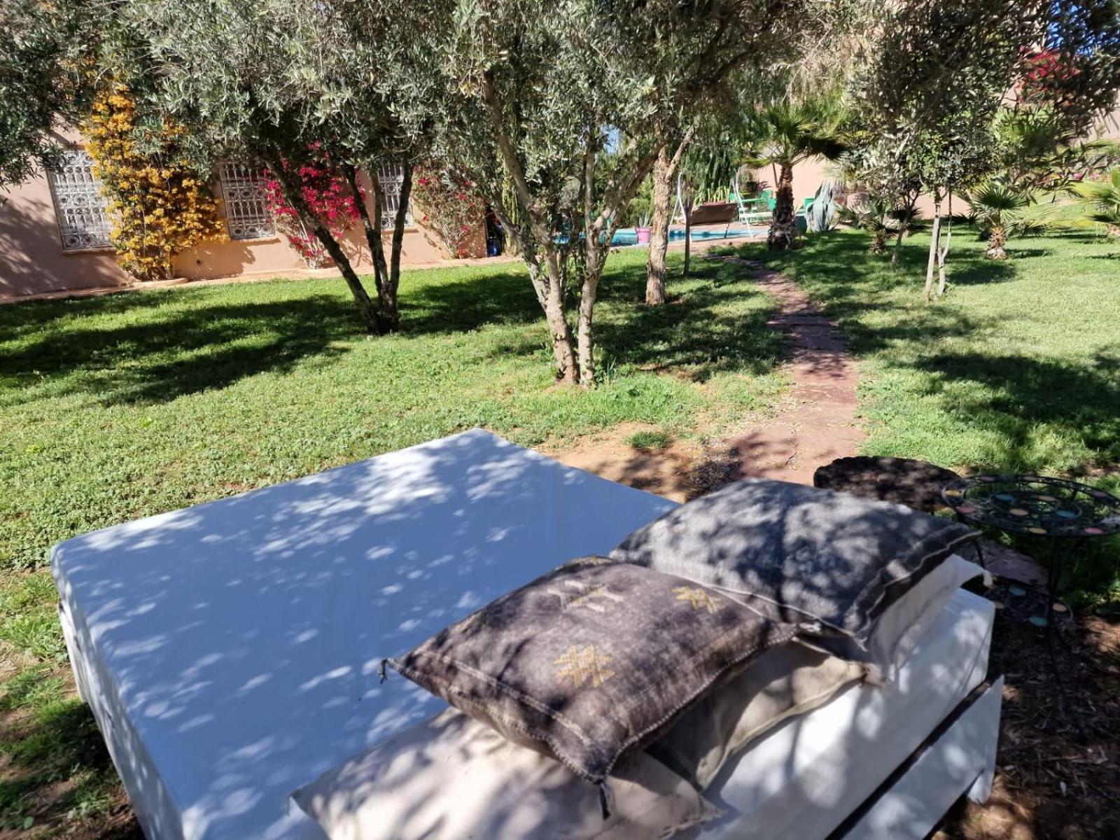 Photo 20