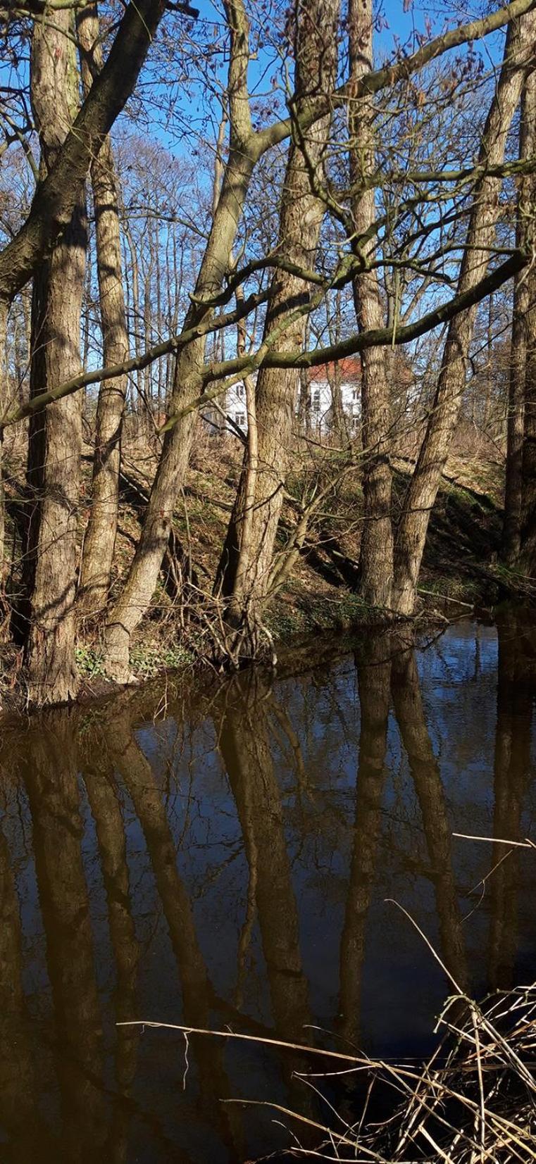 Boliken Berg und Eich Sahl
