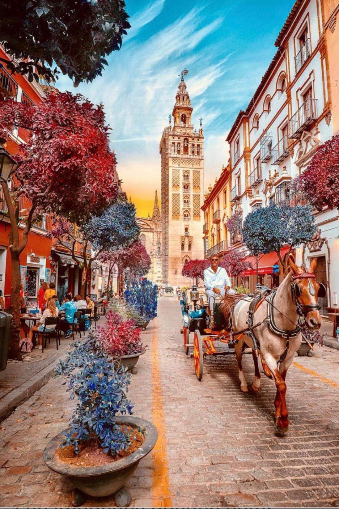 Ole triana