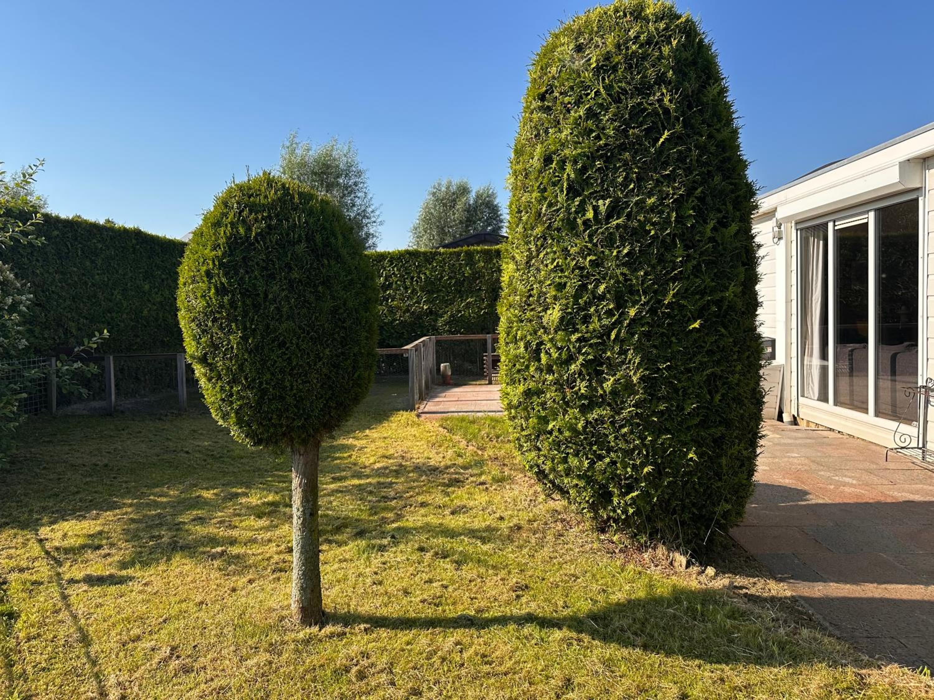 Photo 17