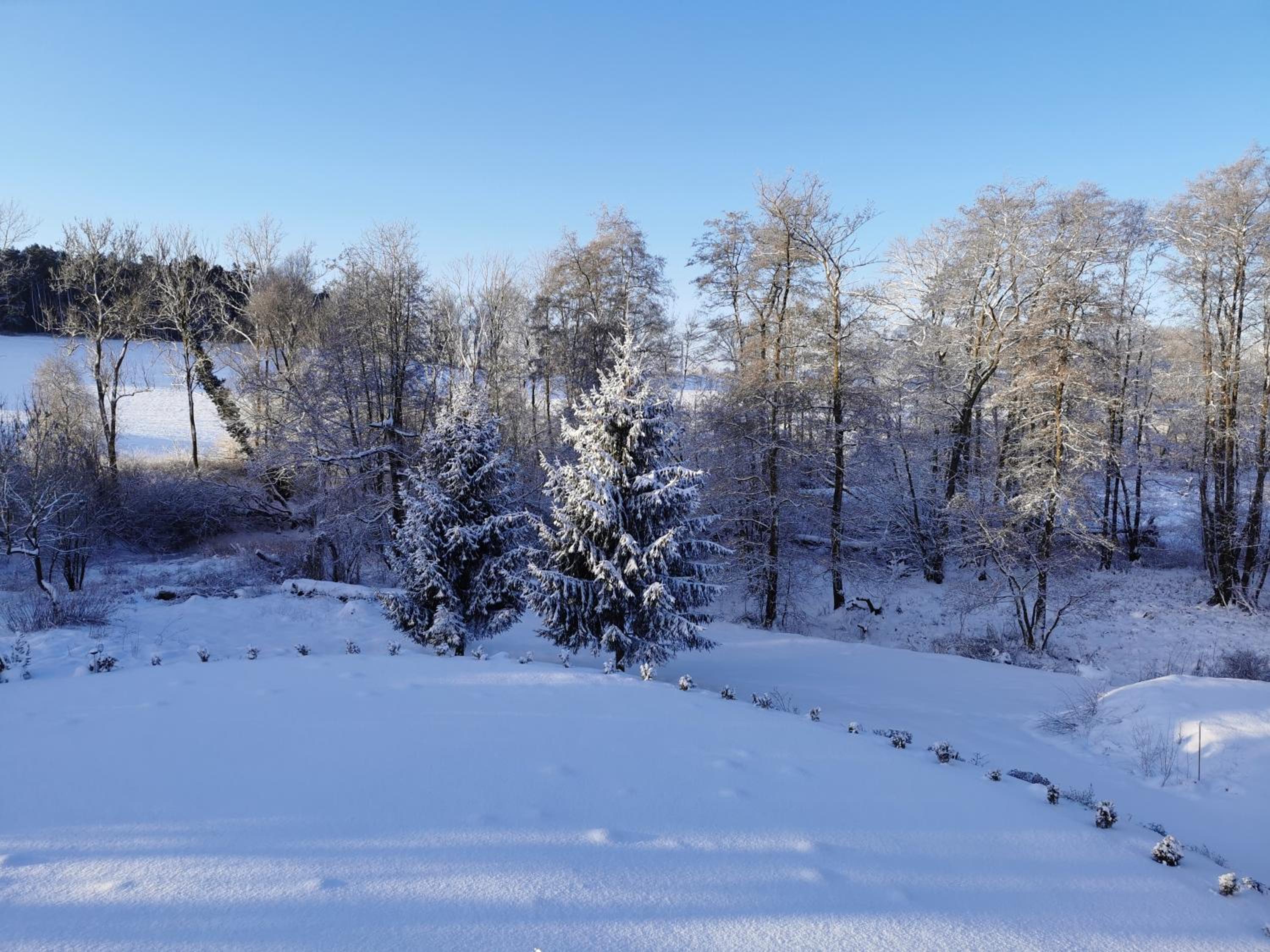 Boliken Berg und Eich Sahl