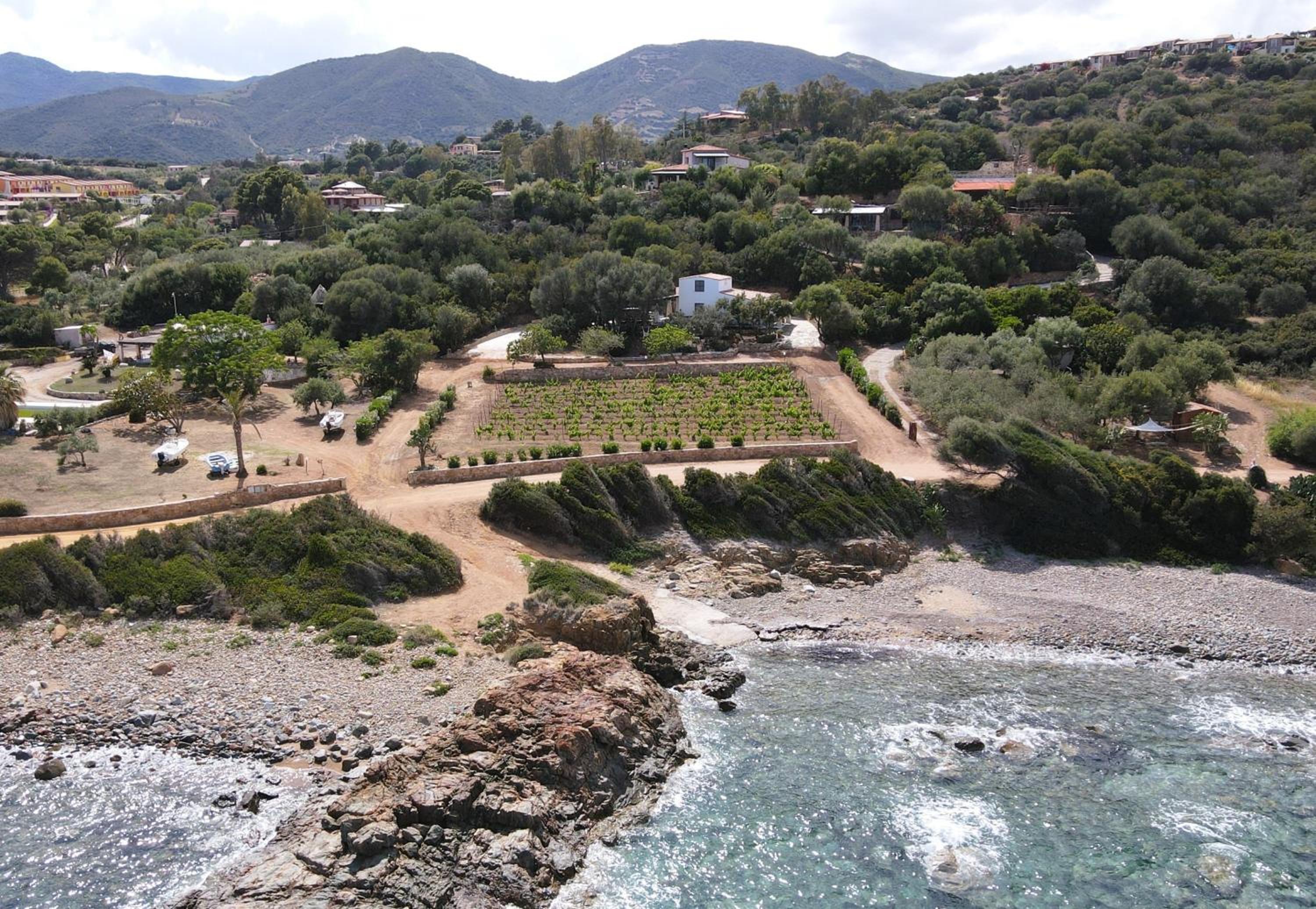 La PAVONCELLA 2 photo 3