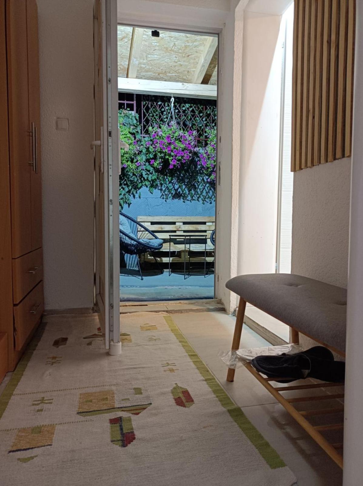 Cozy apartment with garden