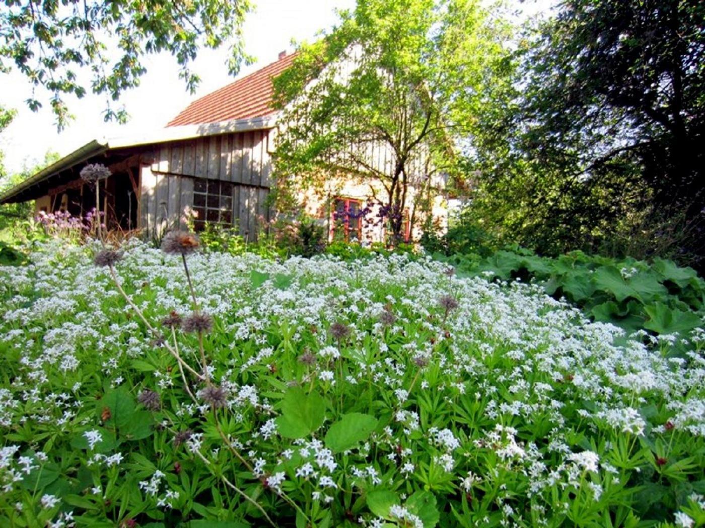 Ferienhaus Apfelhof