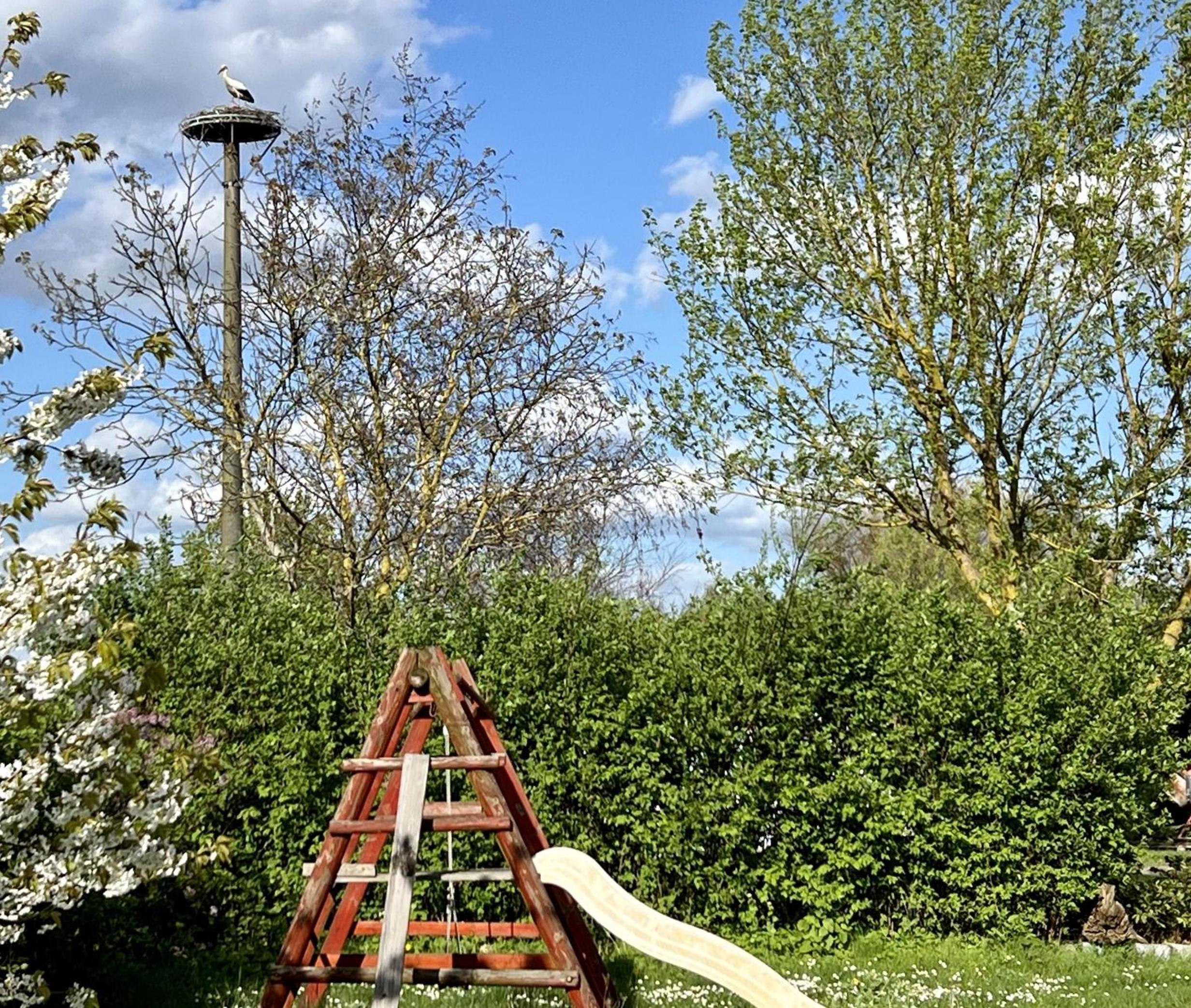 Ferienwohnung Angeln und Segeln