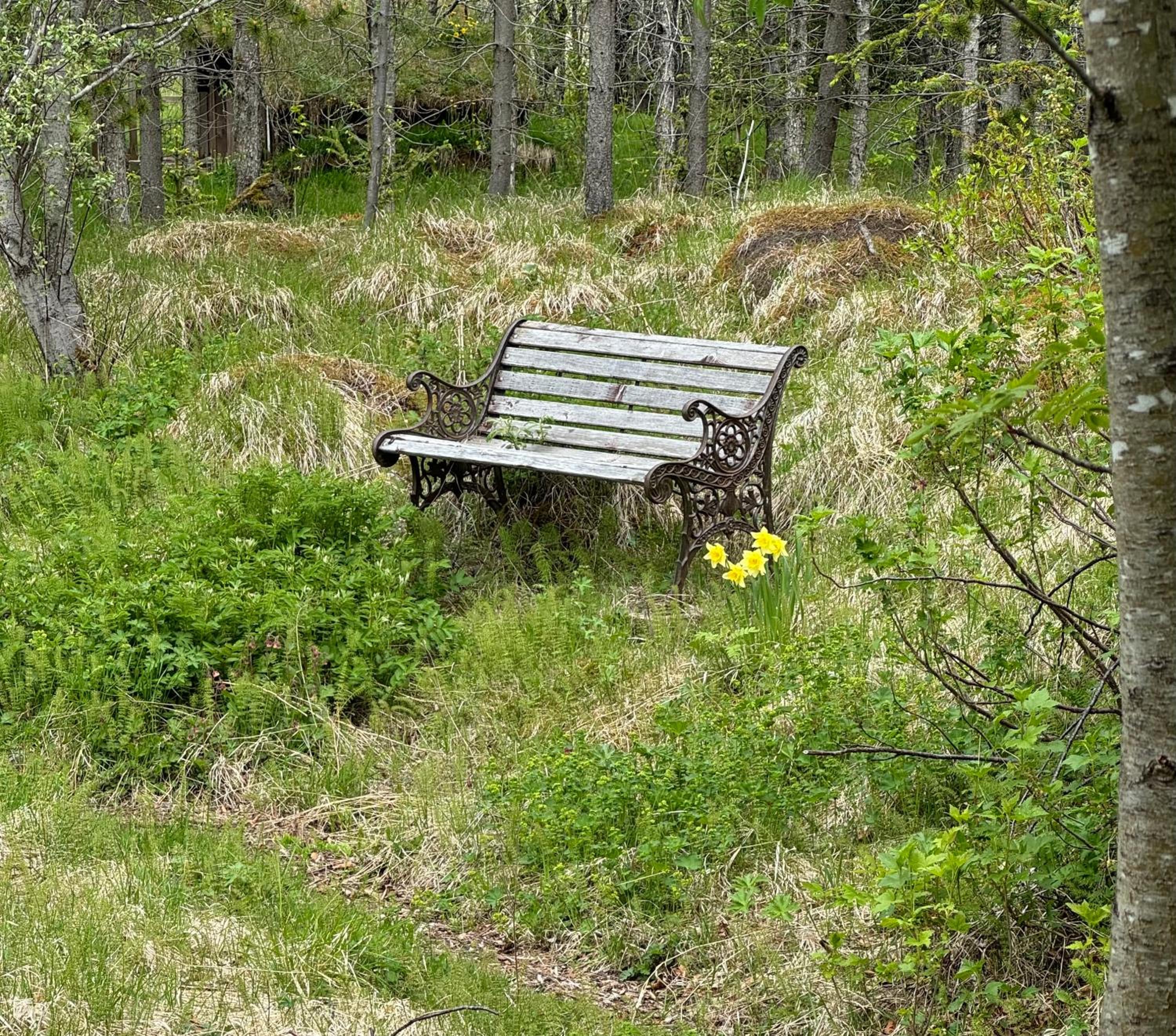 Photo 21