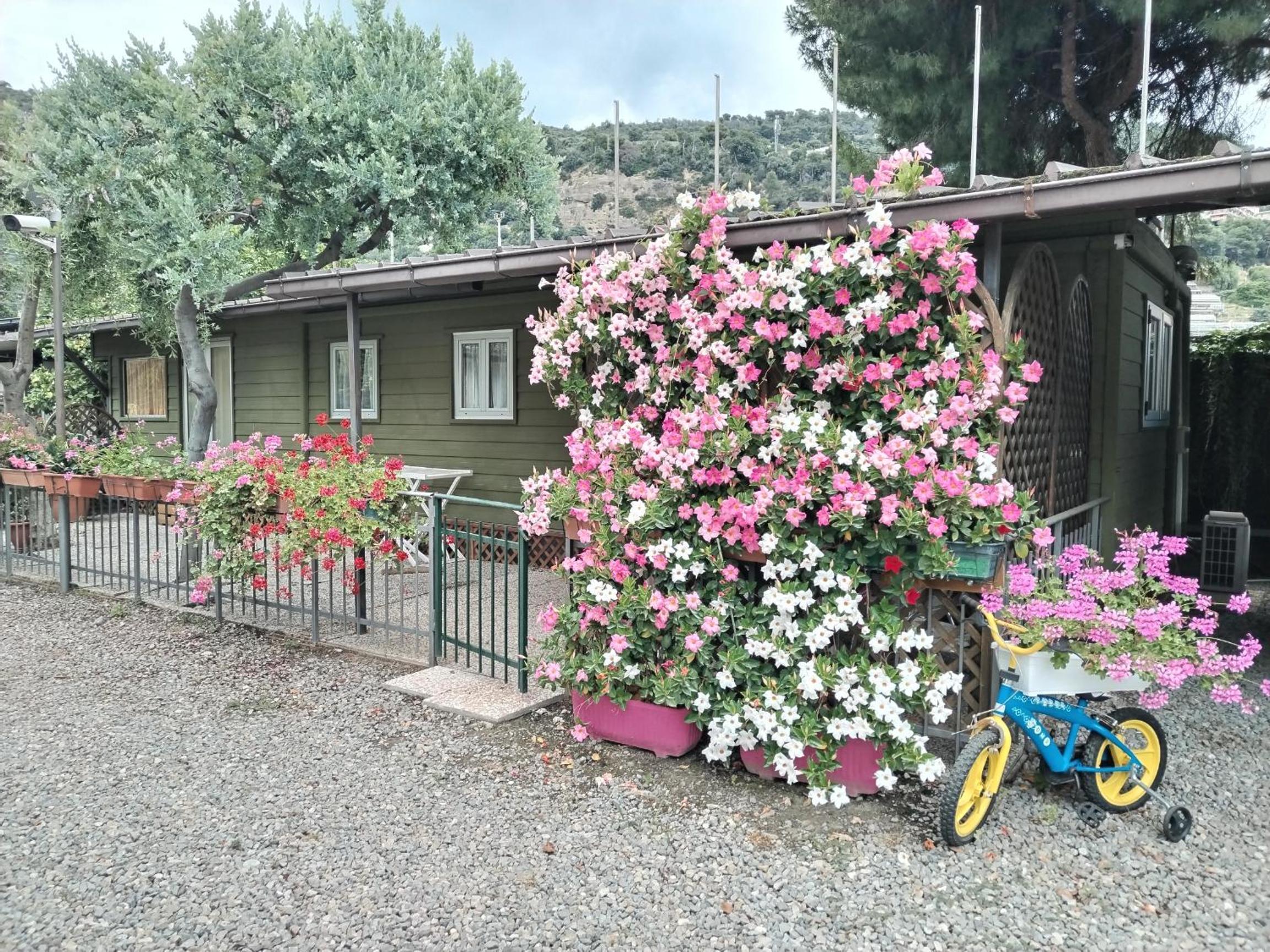 Photo 42