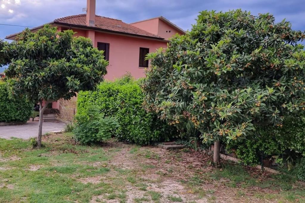 Casa Rosata view 5