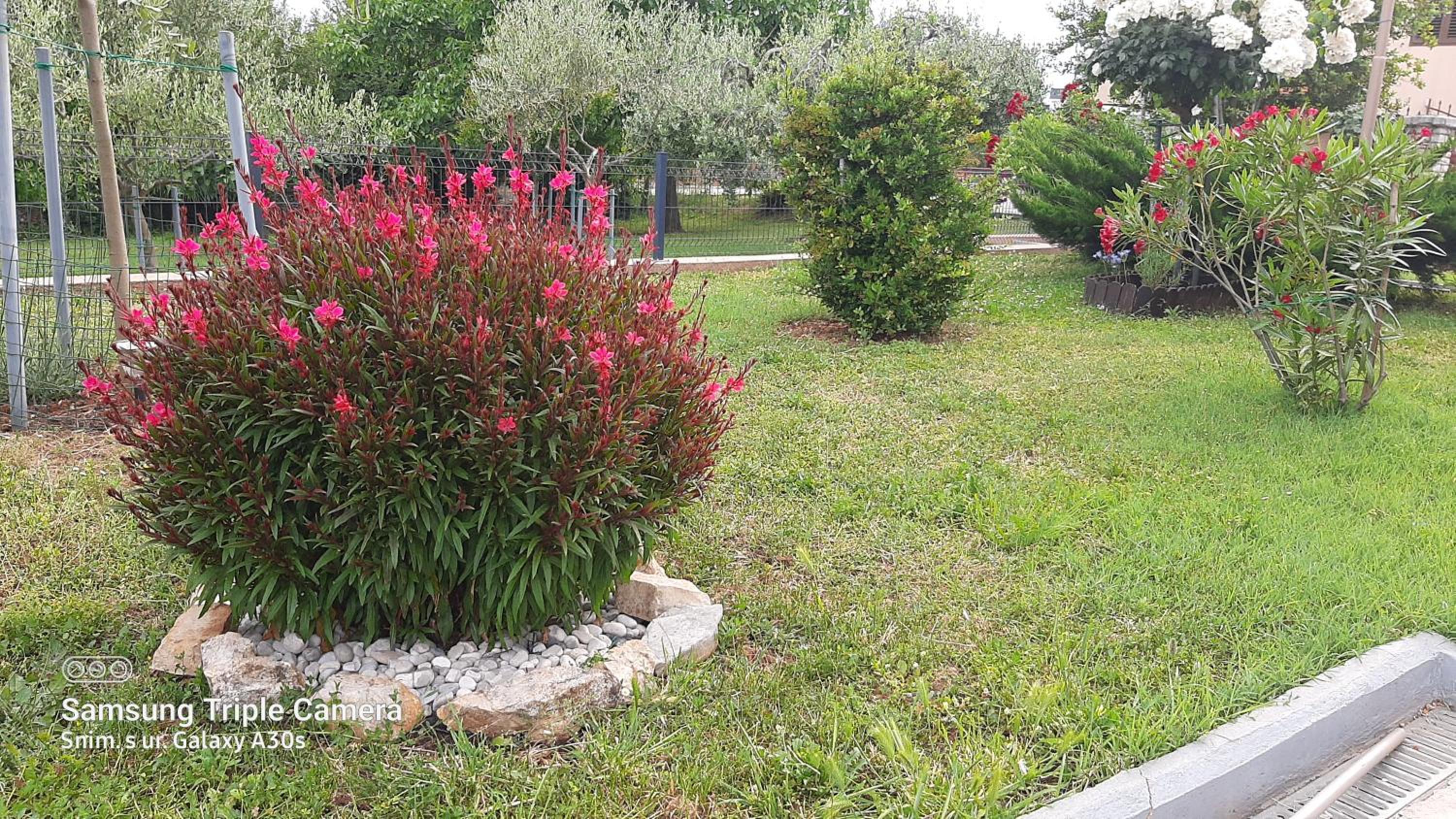 Apartman Gulići