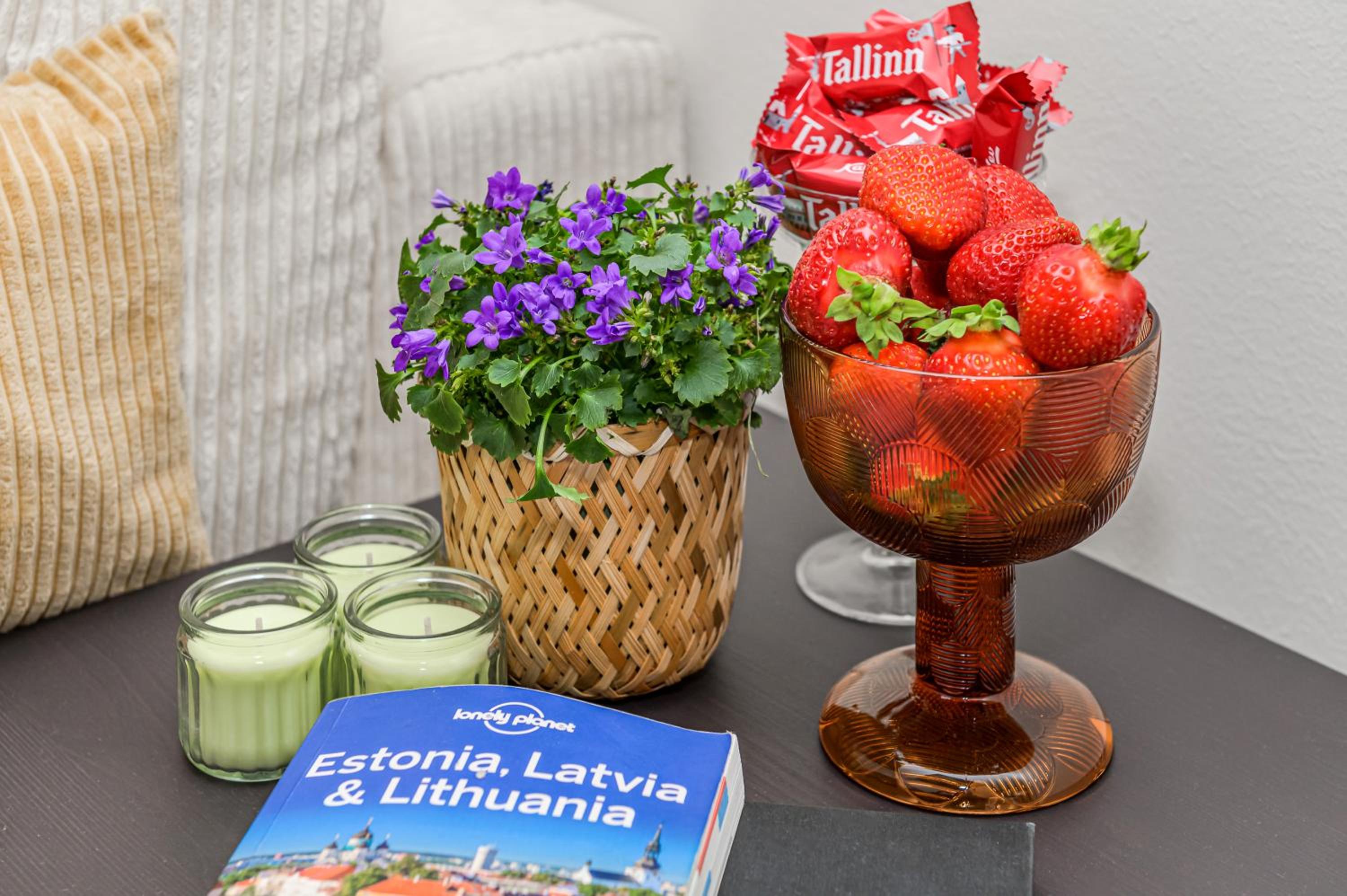 Tallinn Old Town Romantic Apartment
