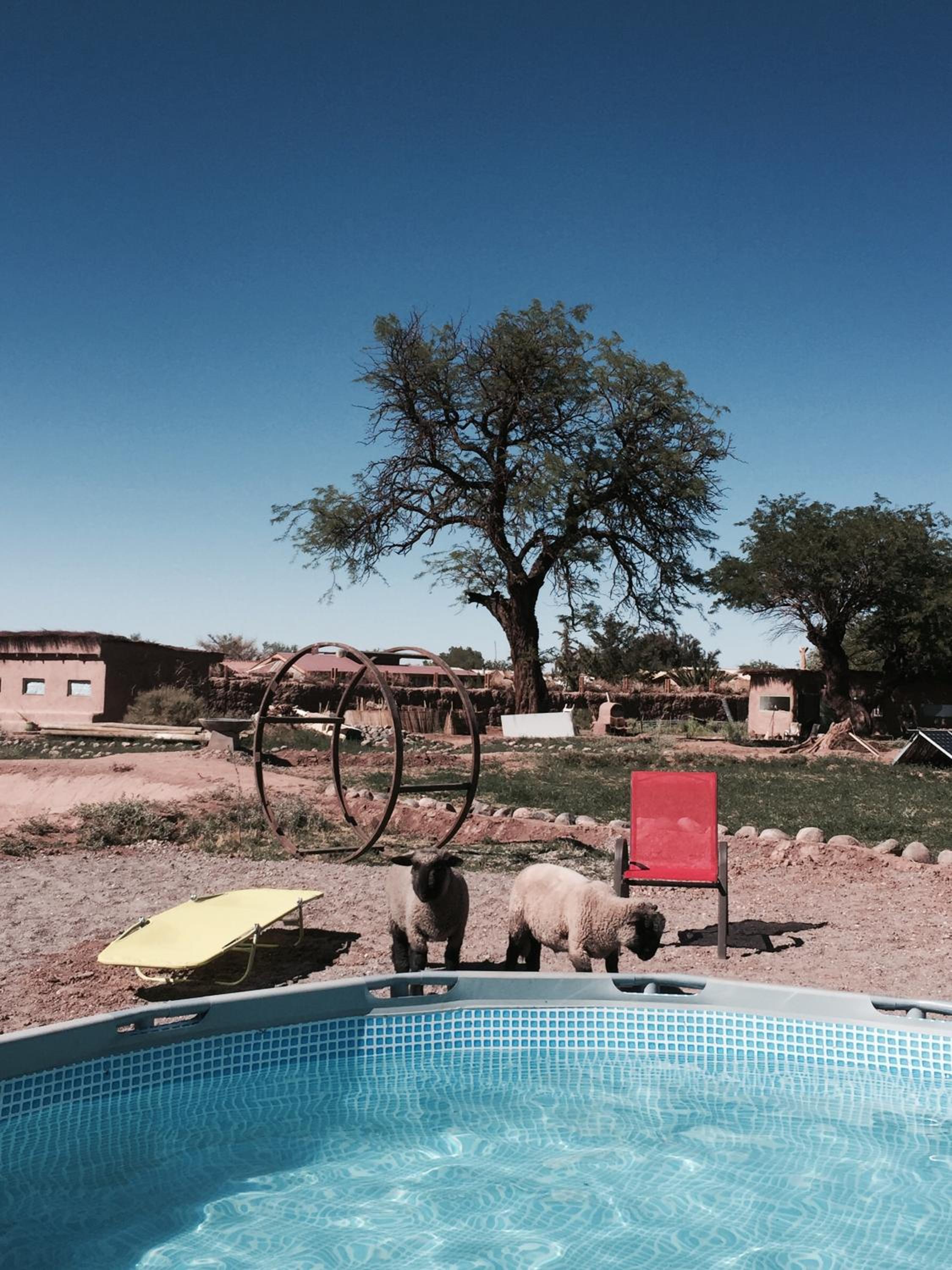 Atacama Loft & Glamp