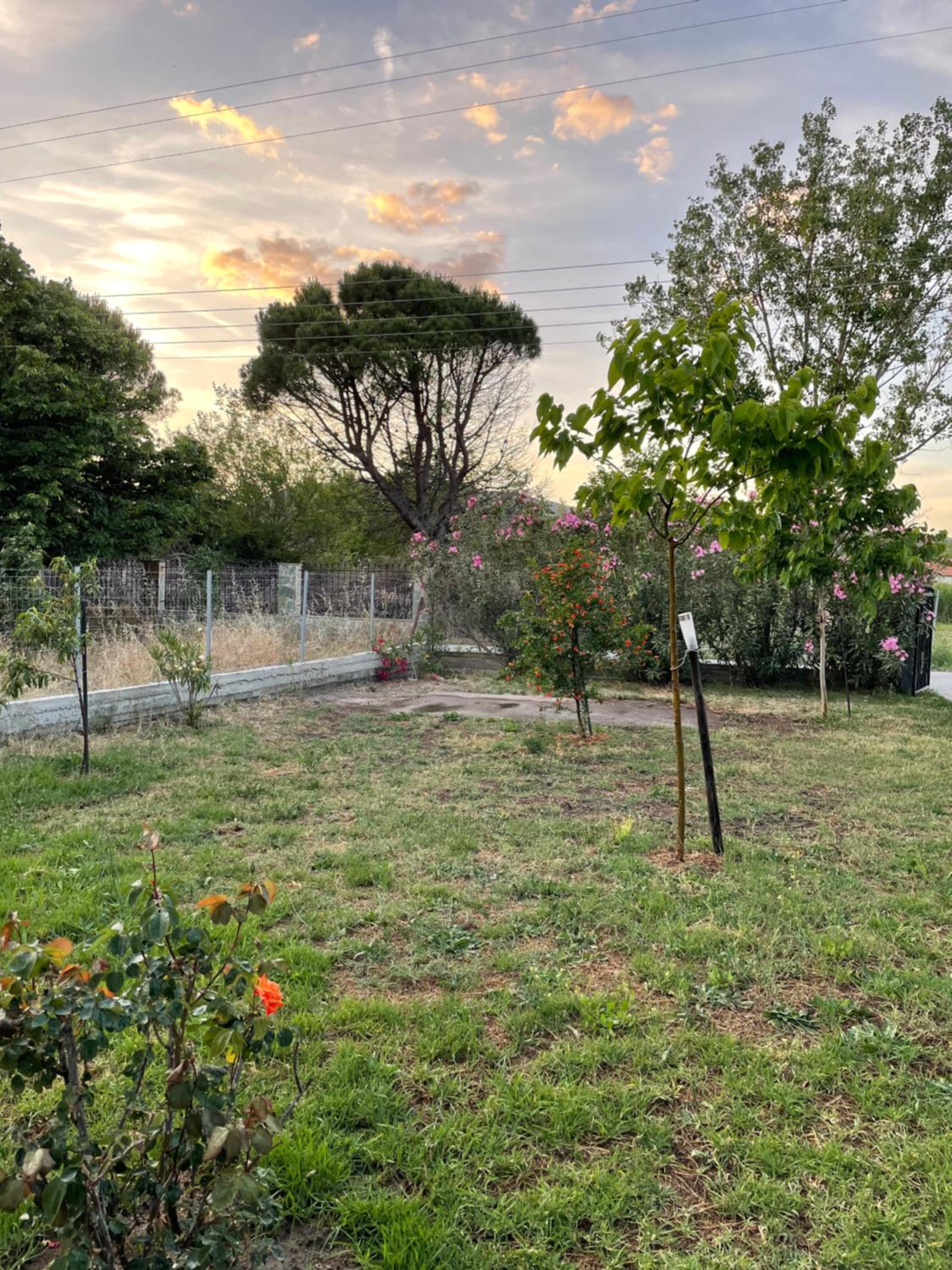 Villa Alva