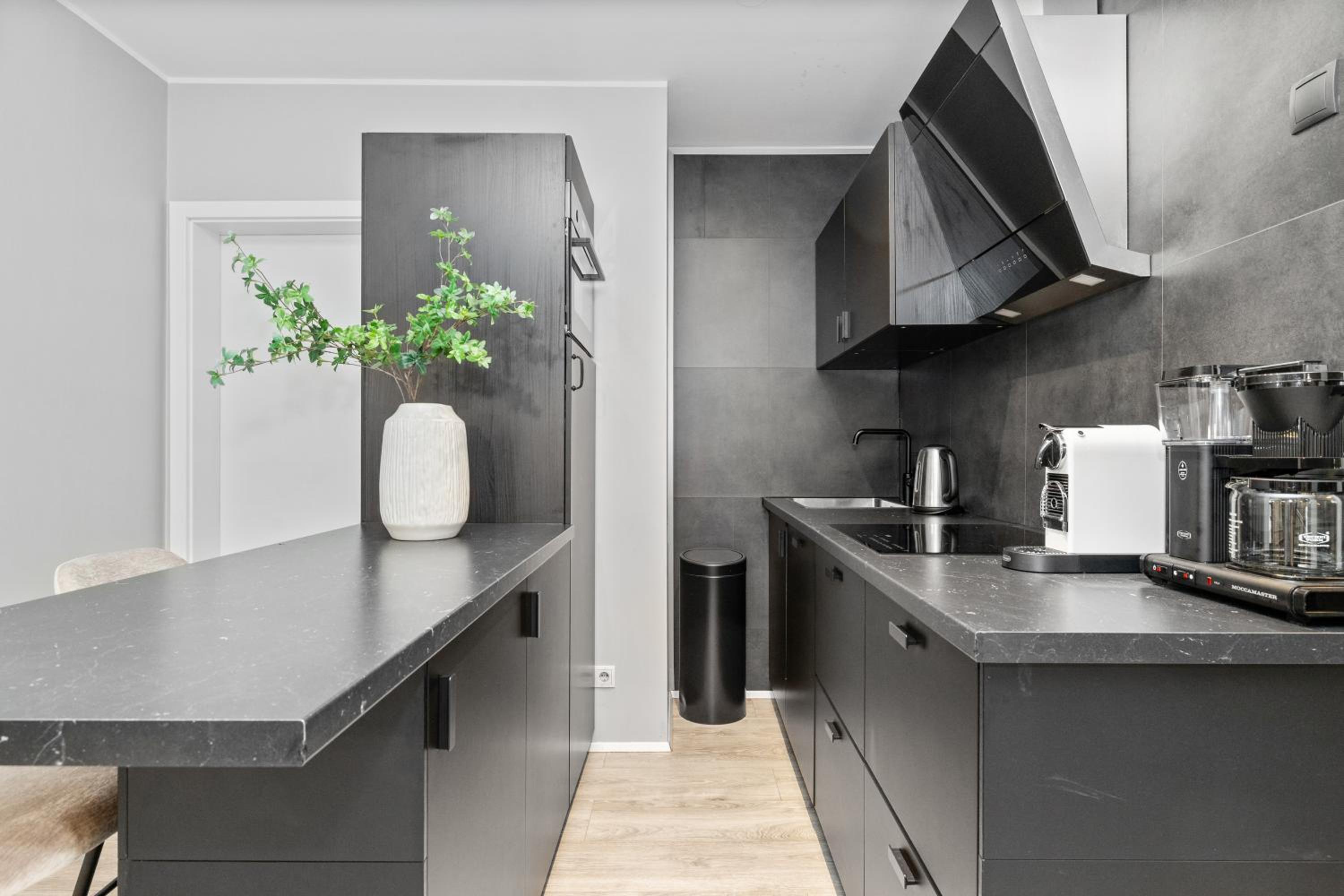Vatnsstigur Apartment