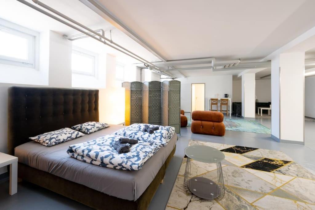 Sunlit Urban Haven Zurich Loft with Five Queen Beds