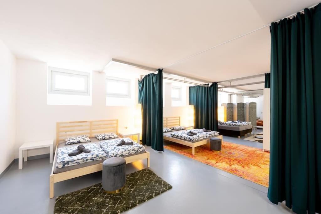 Sunlit Urban Haven Zurich Loft with Five Queen Beds