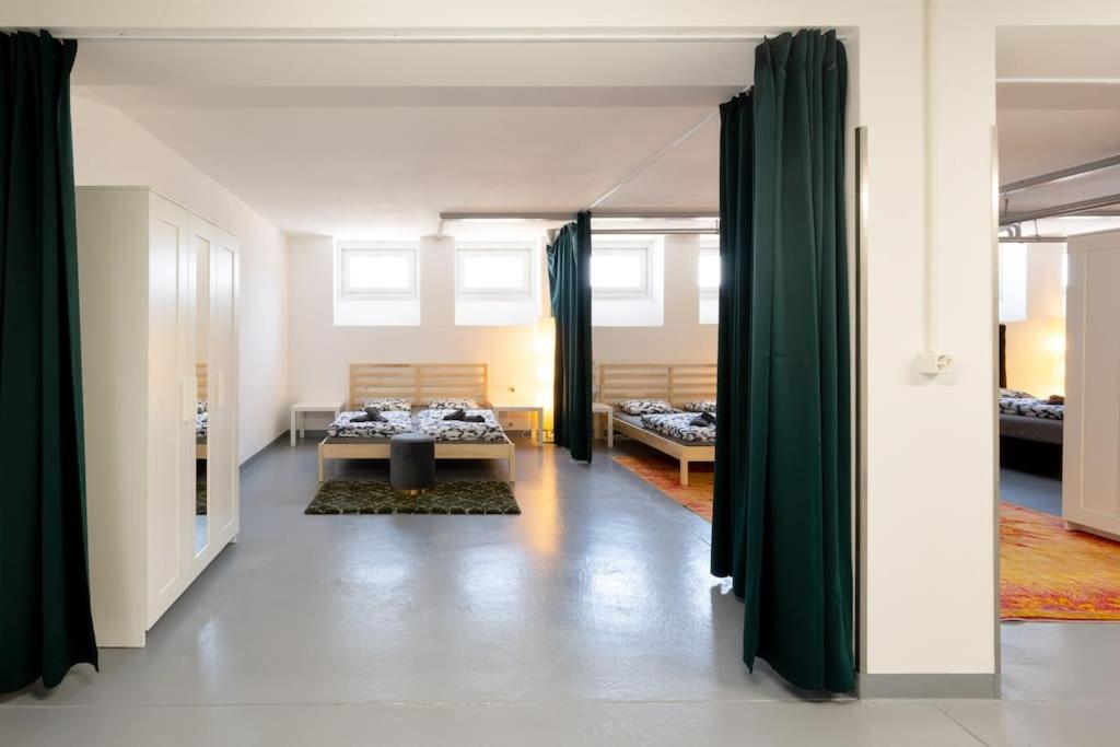 Sunlit Urban Haven Zurich Loft with Five Queen Beds