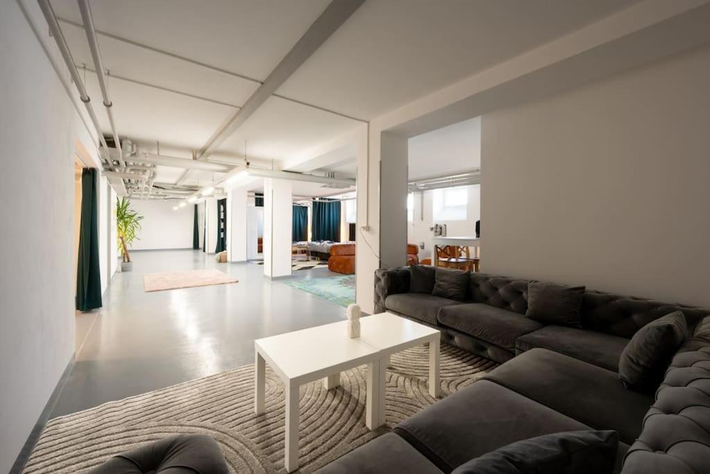 Sunlit Urban Haven Zurich Loft with Five Queen Beds