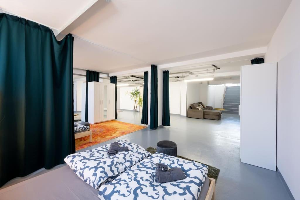 Sunlit Urban Haven Zurich Loft with Five Queen Beds