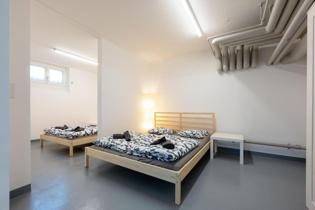 Sunlit Urban Haven Zurich Loft with Five Queen Beds