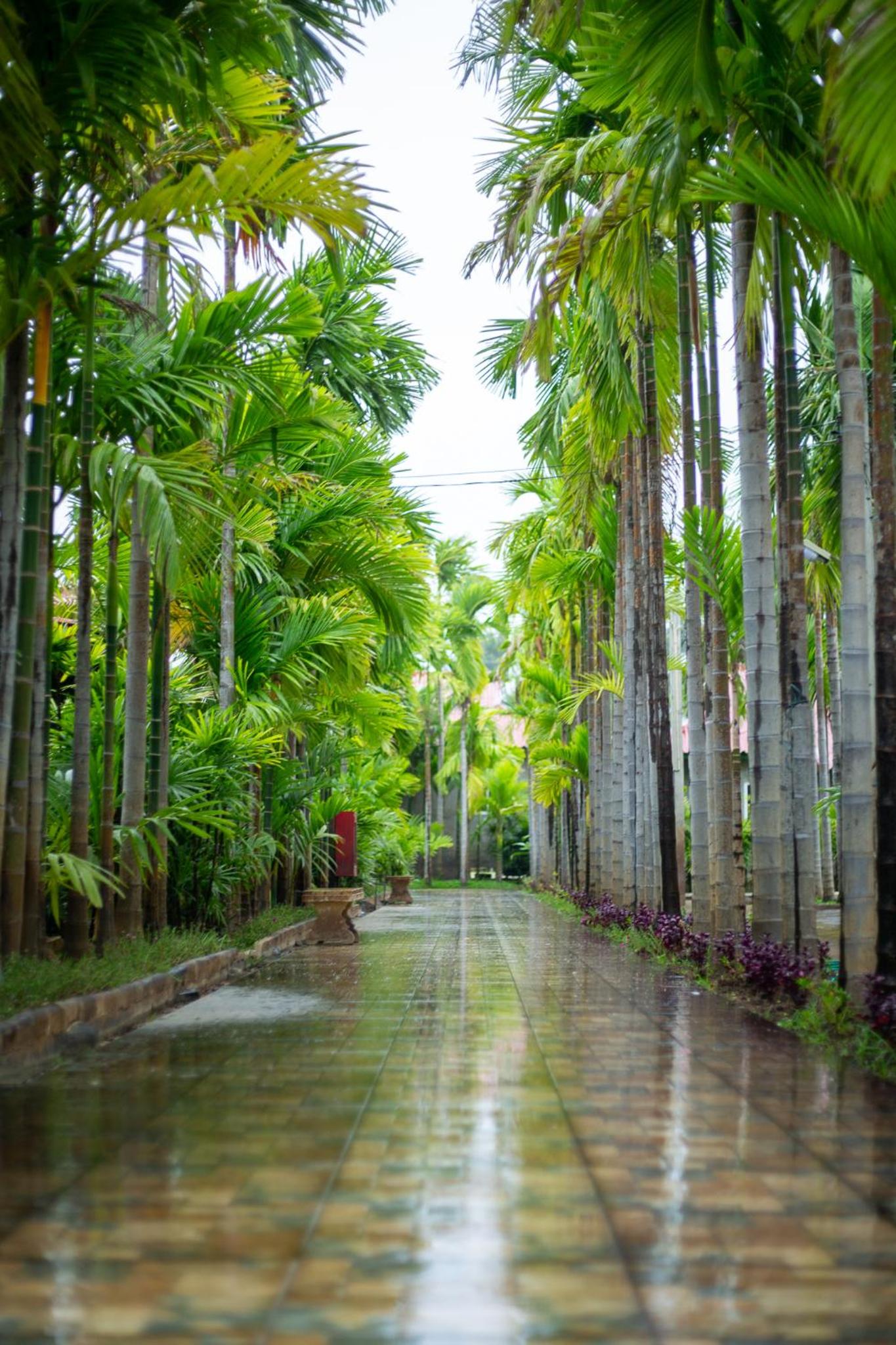 Phanumas Resort Chiang Mai