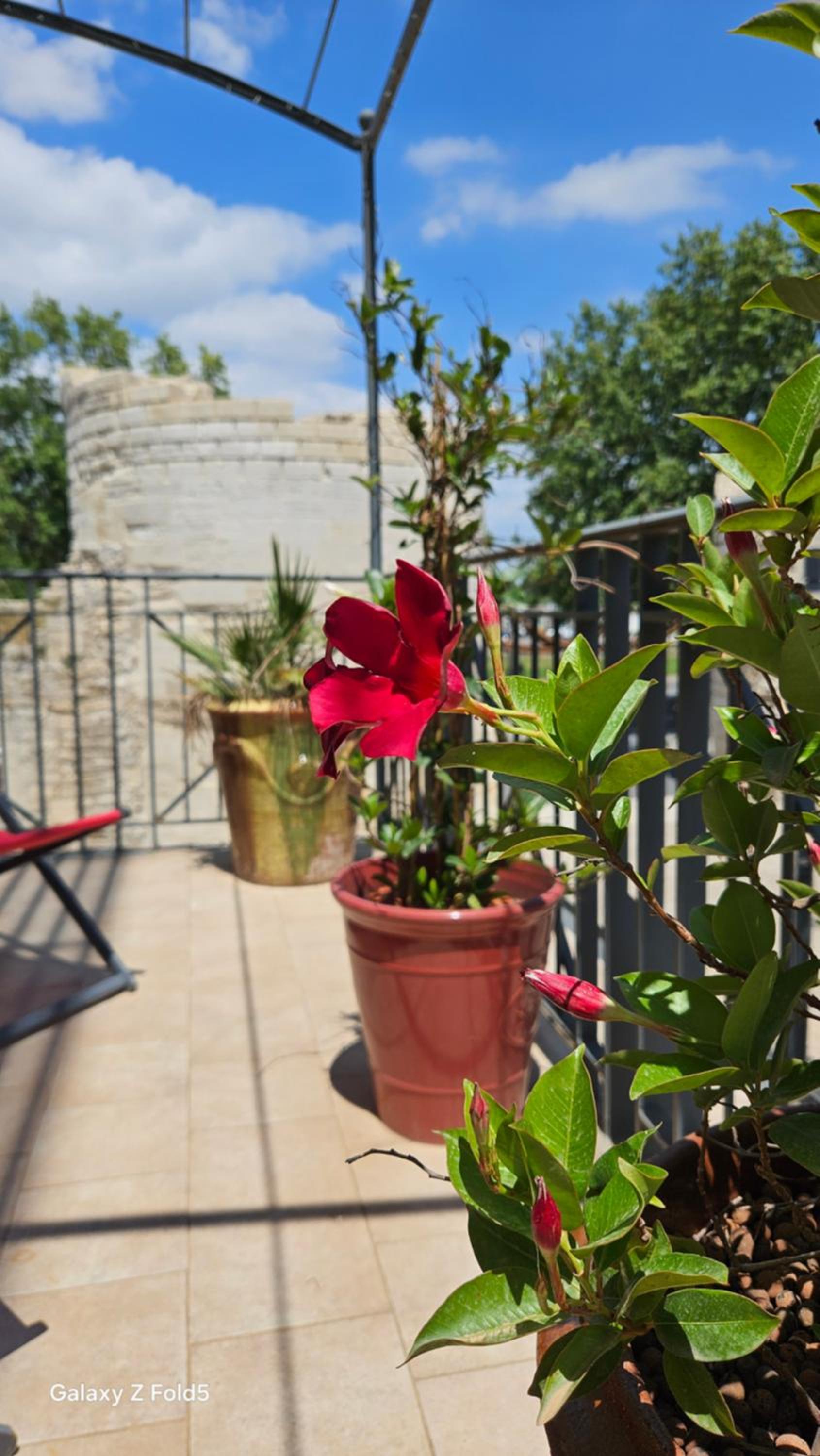 Arles Vacations - Brit Hotel Acacias - Property Image 45