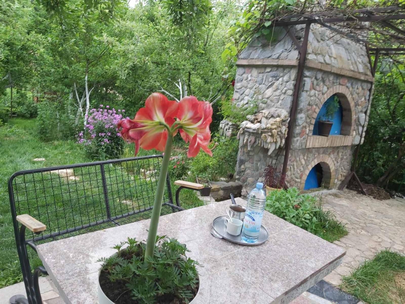 Forest Grove Hideaway