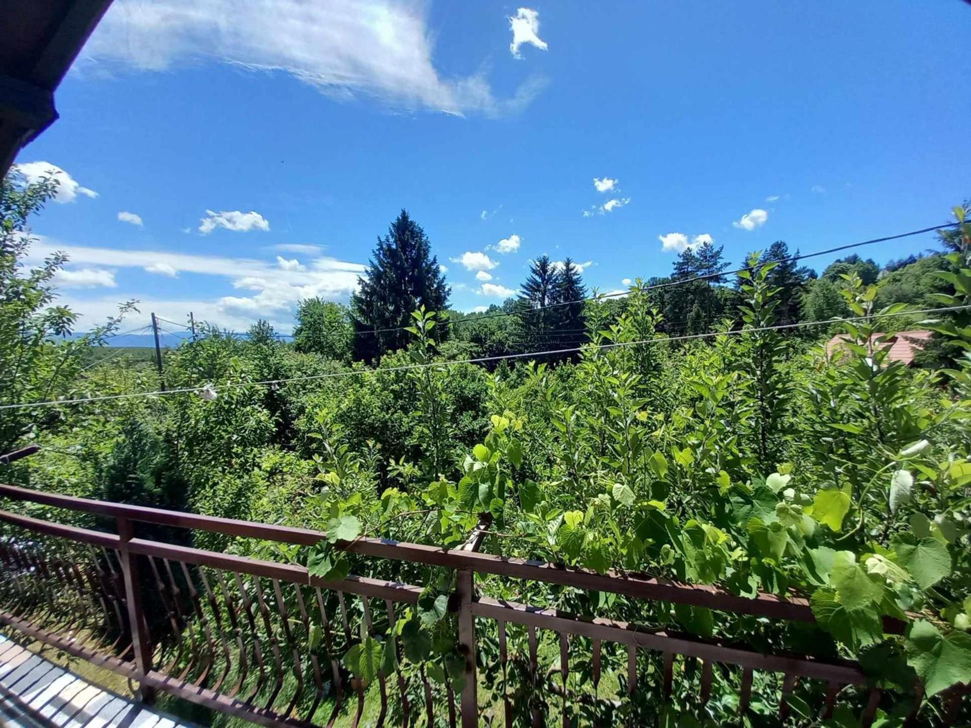 Forest Grove Hideaway