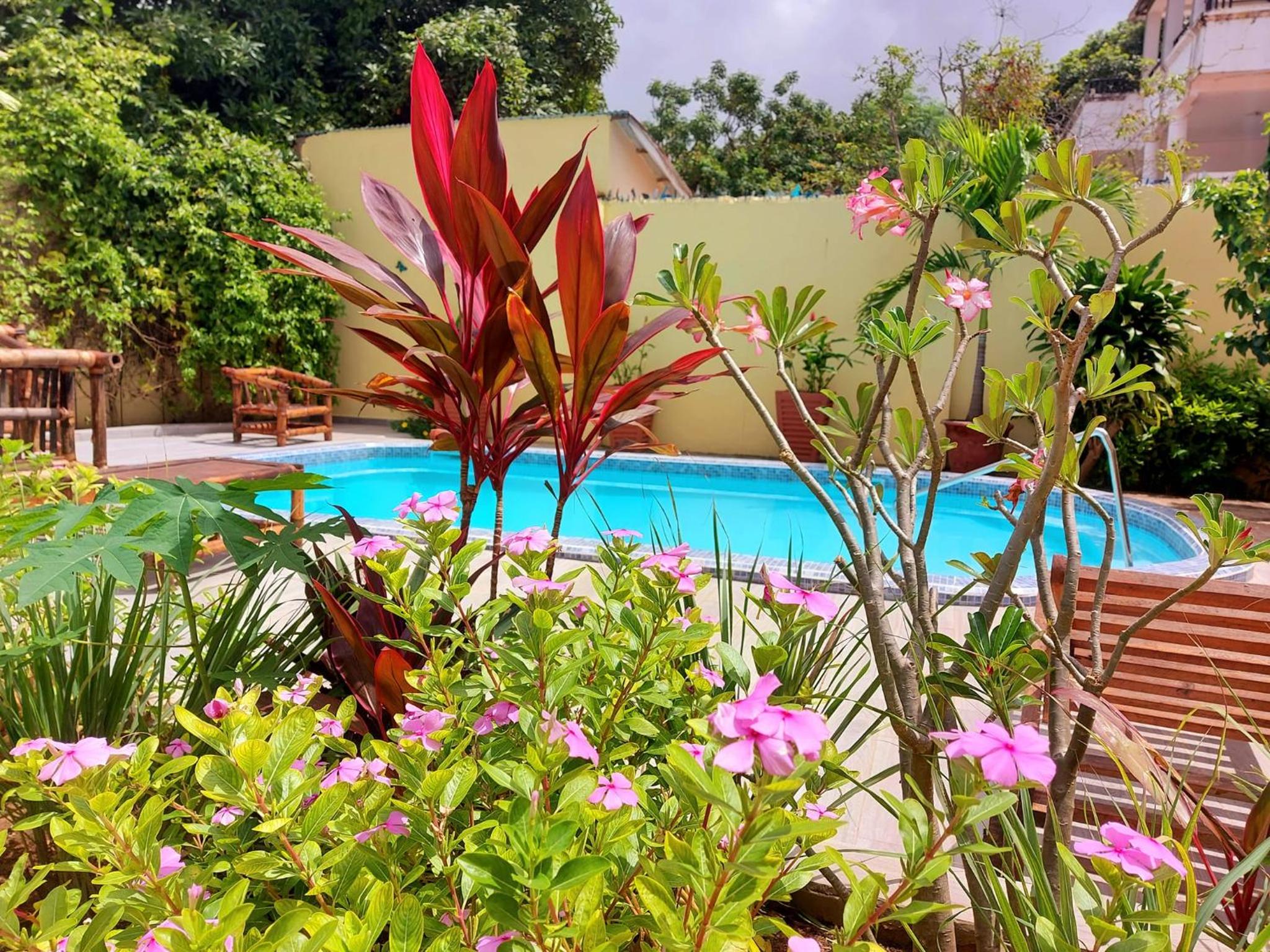 Bougainvillea House
