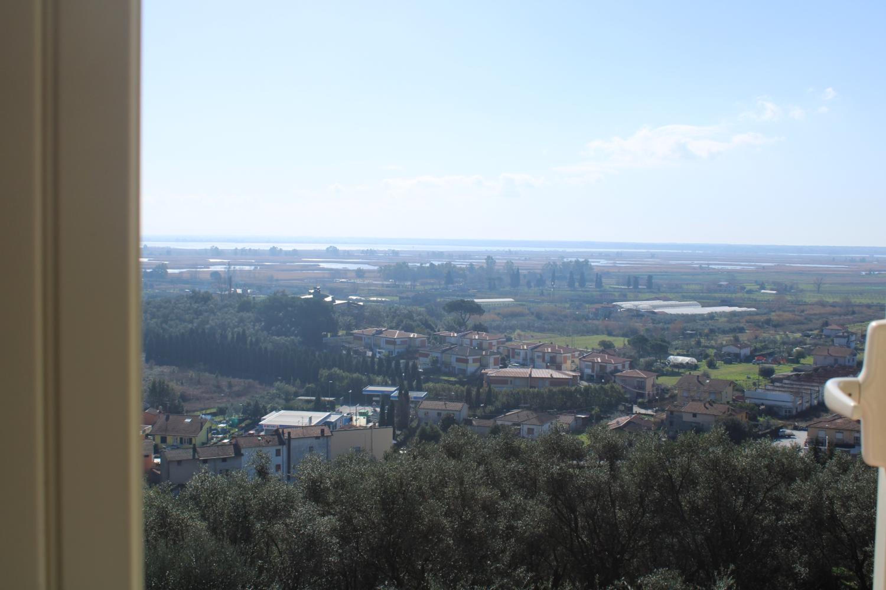 oliveta photo 2