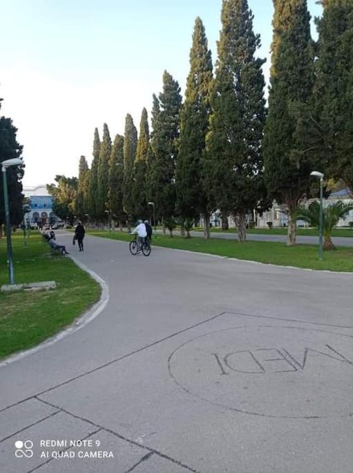 Photo 44