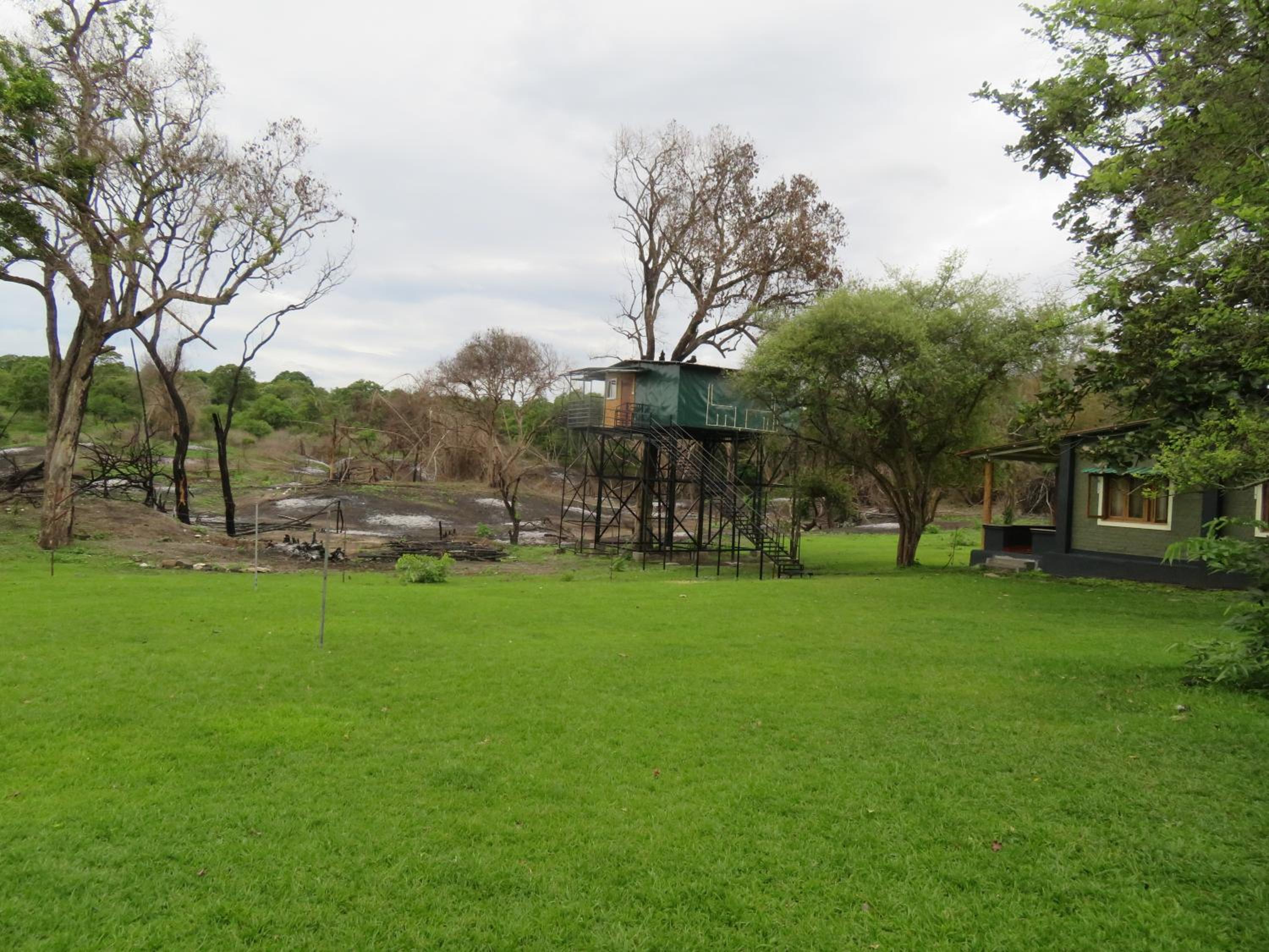 Photo 21