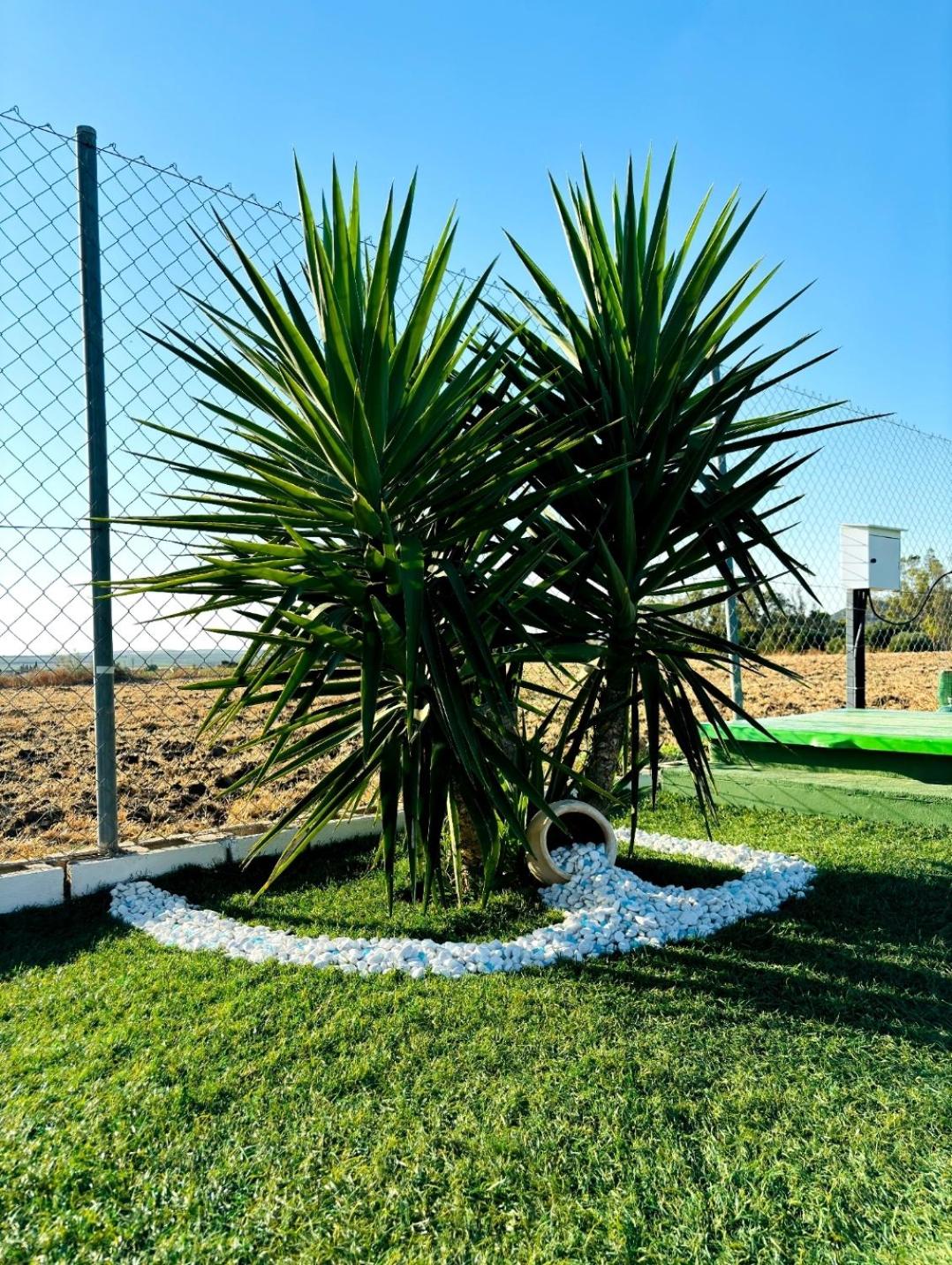 Casa Rural El Pequeño Oasis