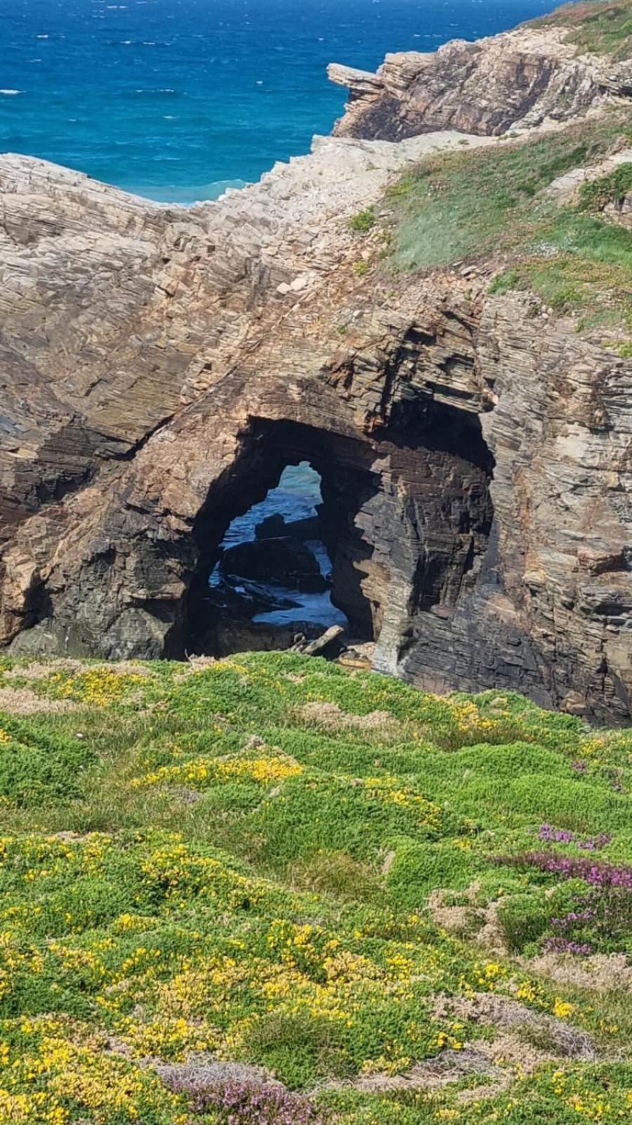 Casiña de Érika