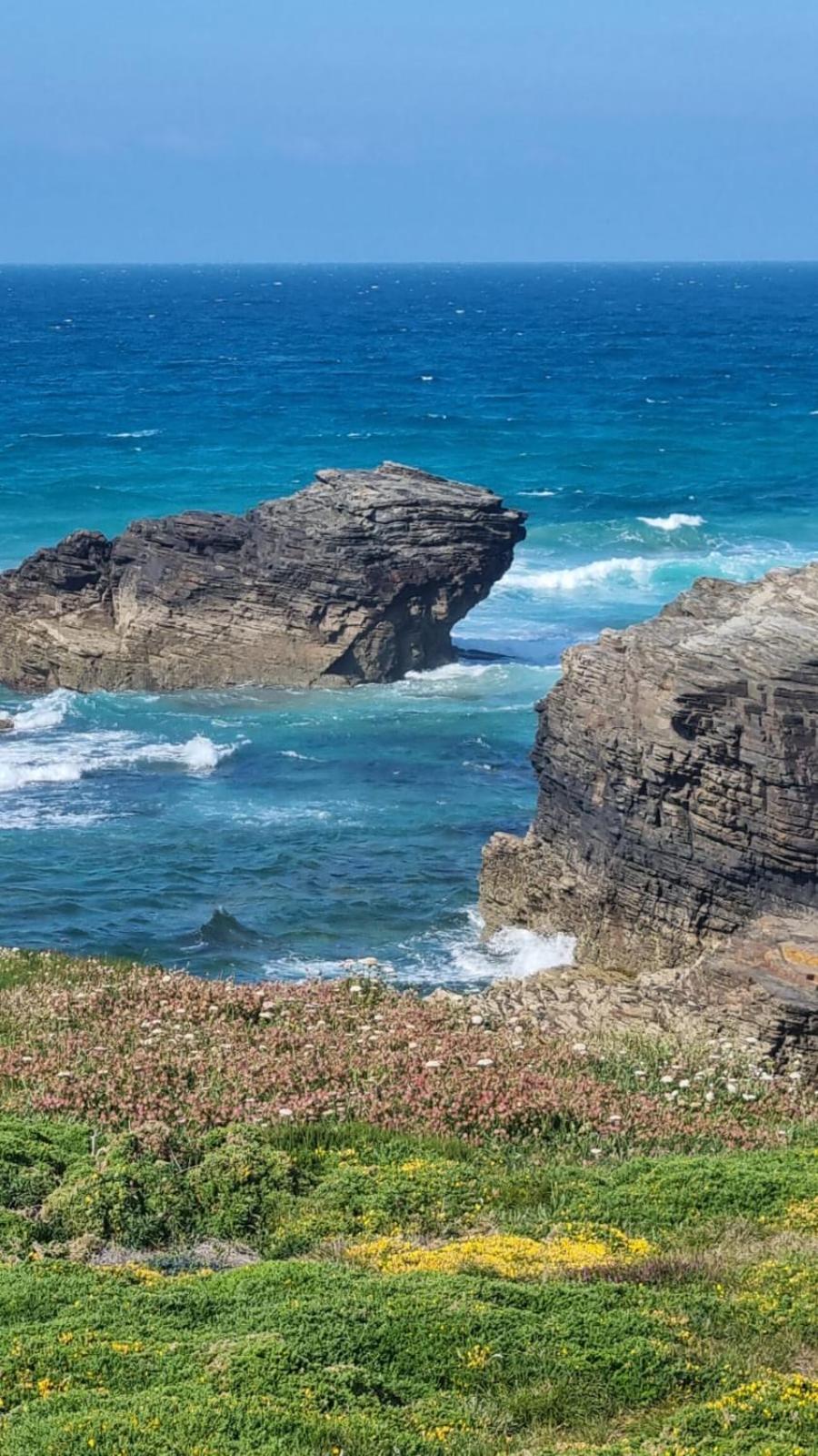 Casiña de Érika