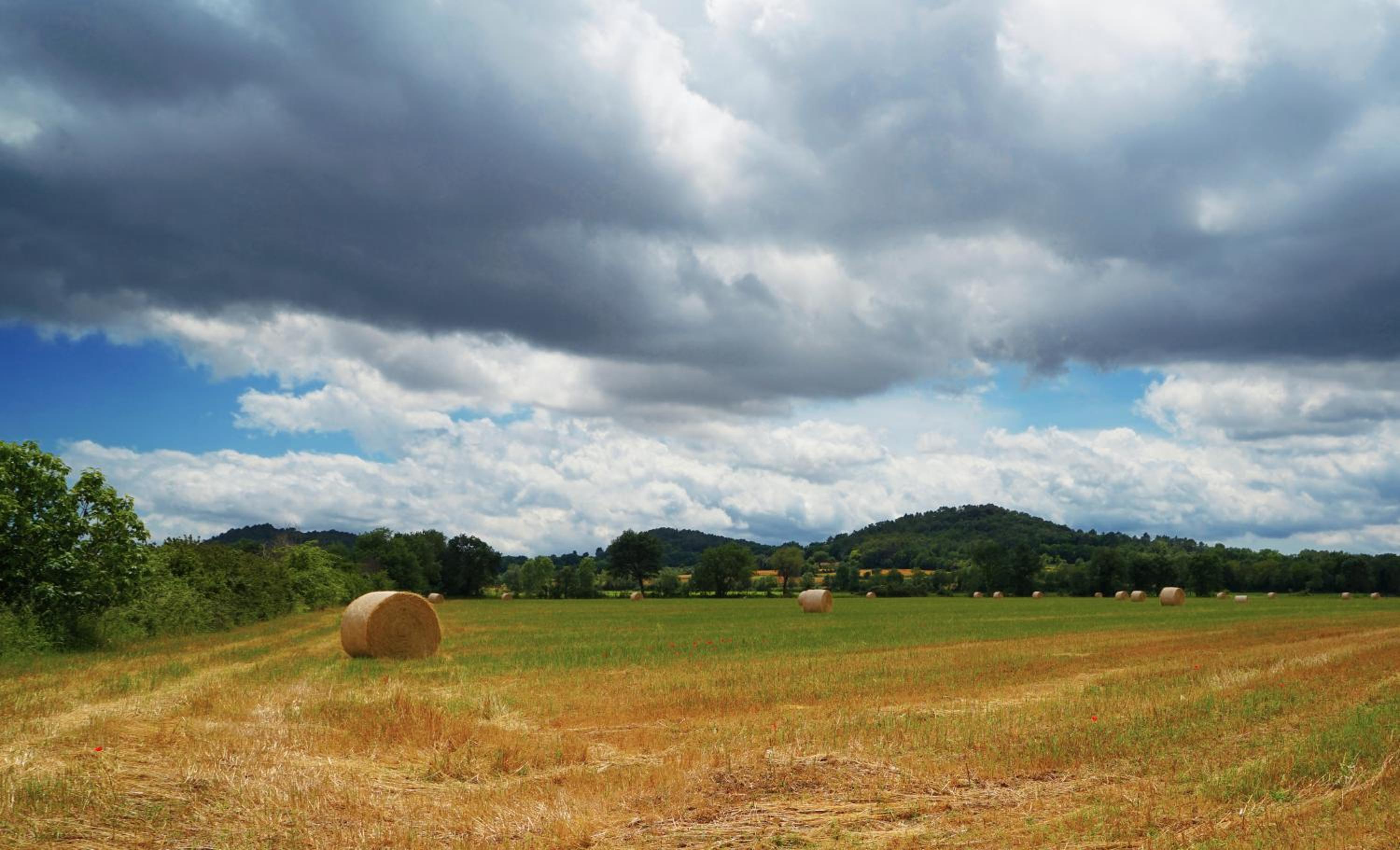 Encís d'Empordà -Adults Only-