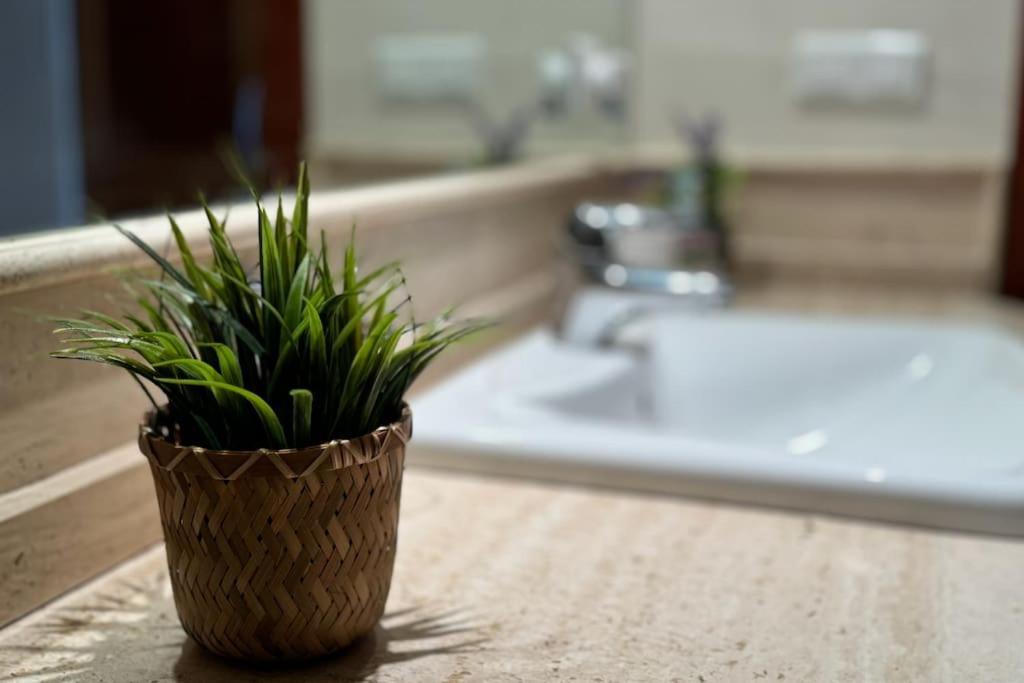 Apartamento en complejo único con piscina y zonas verdes