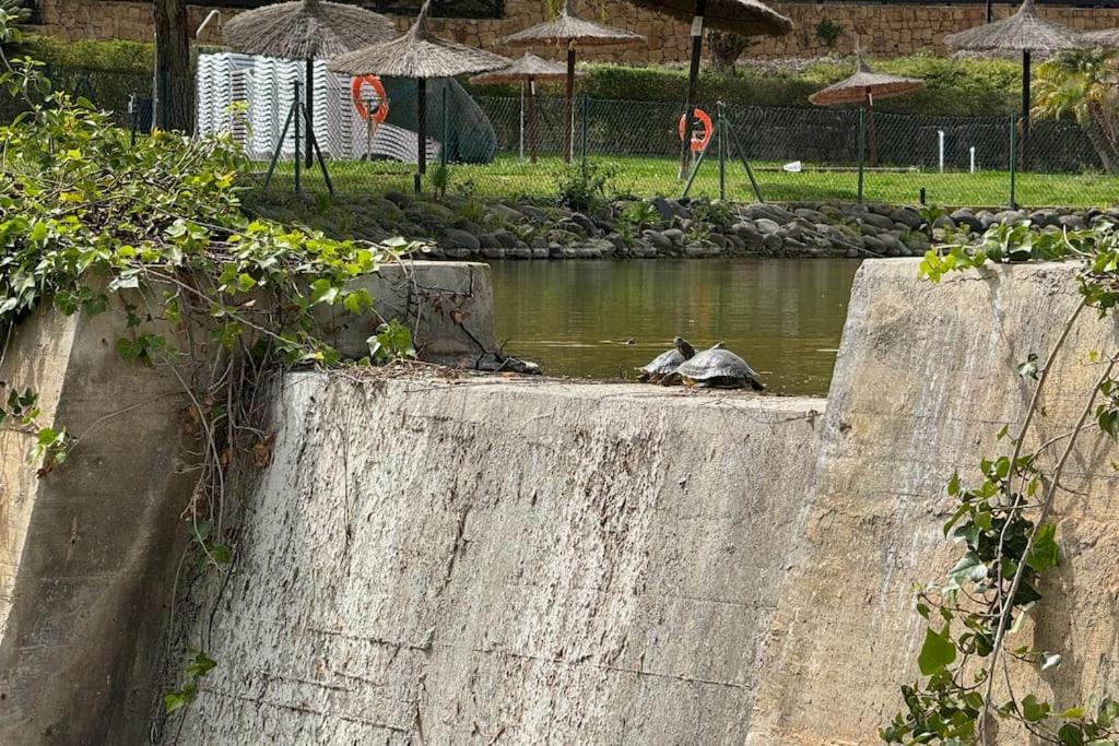 Apartamento en complejo único con piscina y zonas verdes